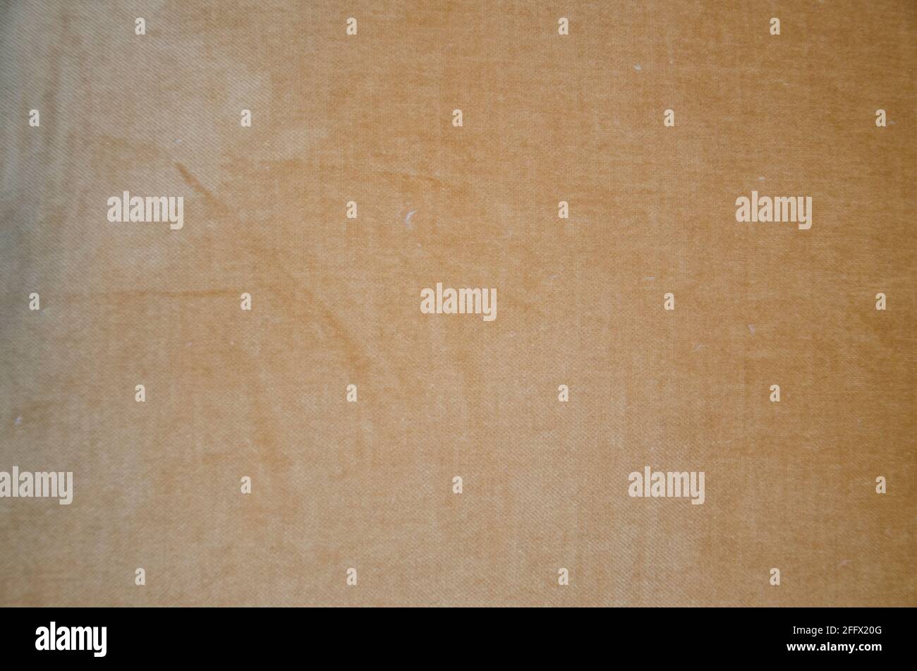 Senfgelb Herbst Makro Abstrakter Hintergrund Stockfoto