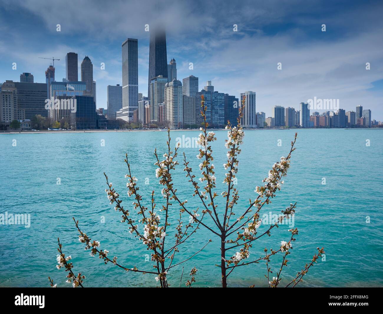 Blick auf die Skyline von Chicago vom Chicago Seeufer aus Stockfoto