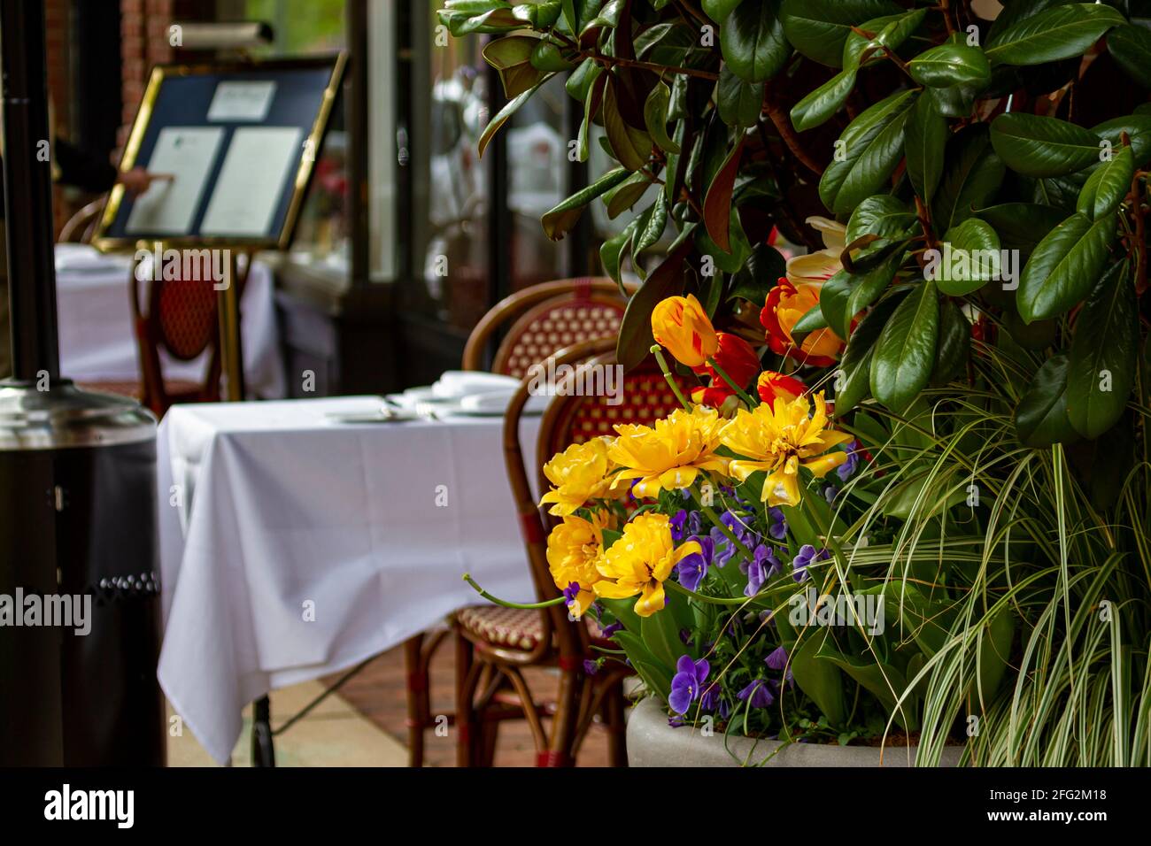 Verdeckte Tische im Freien mit dekorativen Blumen im Fokus. Abstraktes Konzeptbild für Mahlzeiten im Freien mit Sitzgelegenheiten im Frühling oder im Frühling Stockfoto