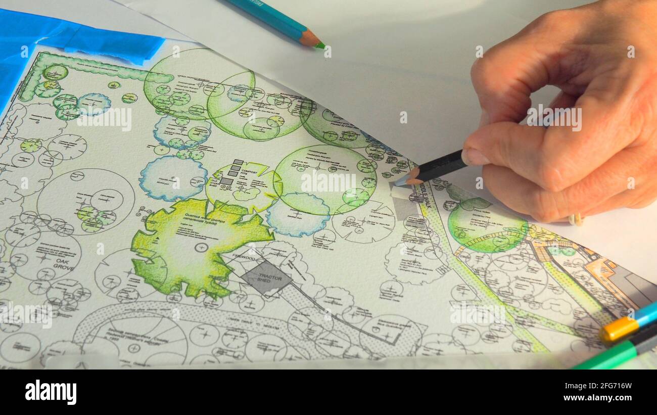 Eine linkshändige Künstlerin verwendet Bleistifte, um ihr Landschaftsdesign von Hand zu färben Eines großen Gartens Stockfoto