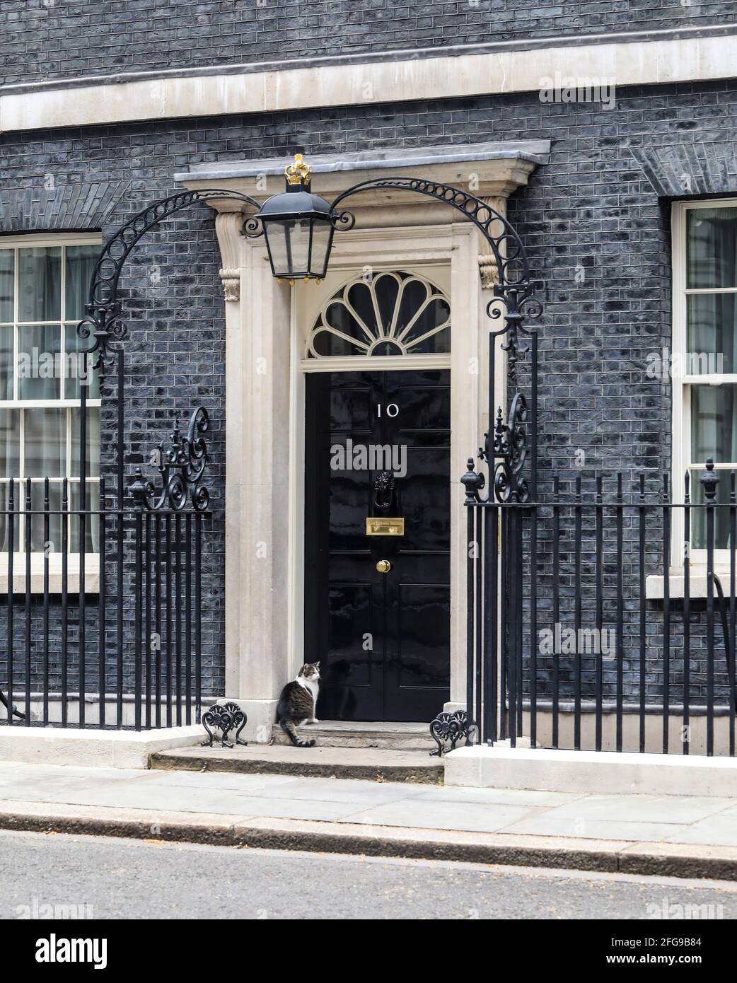 London, Großbritannien. April 2021. Larry, die Downing Street Cat, in London gesehen. Quelle: Brett Cove/SOPA Images/ZUMA Wire/Alamy Live News Stockfoto