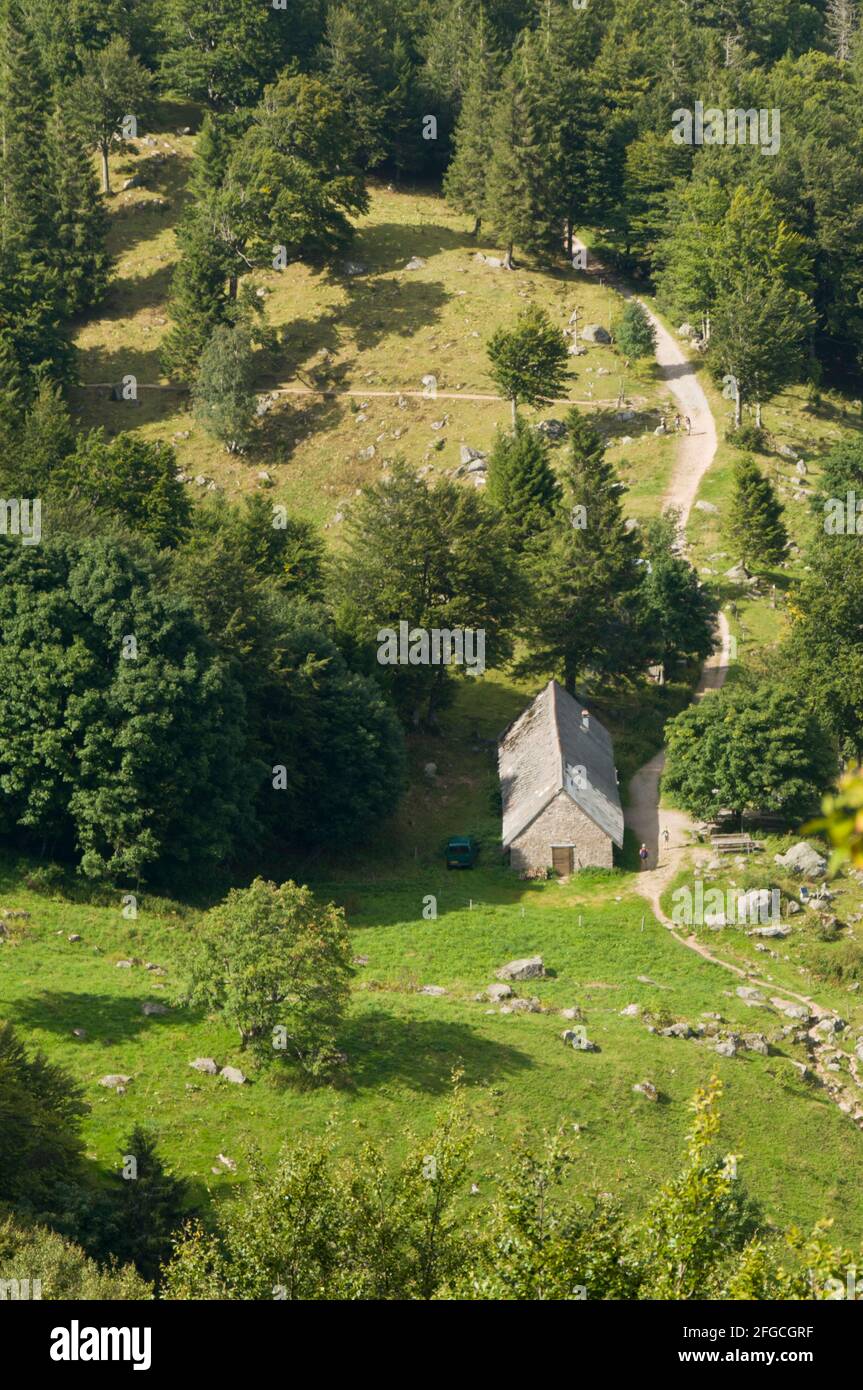 Schöne Landschaft bei Hohneck in der französischen vogesen Stockfoto
