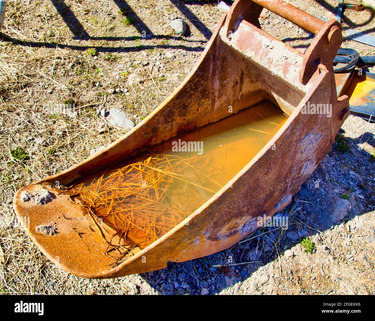 Alter Grabeneimer Stockfoto