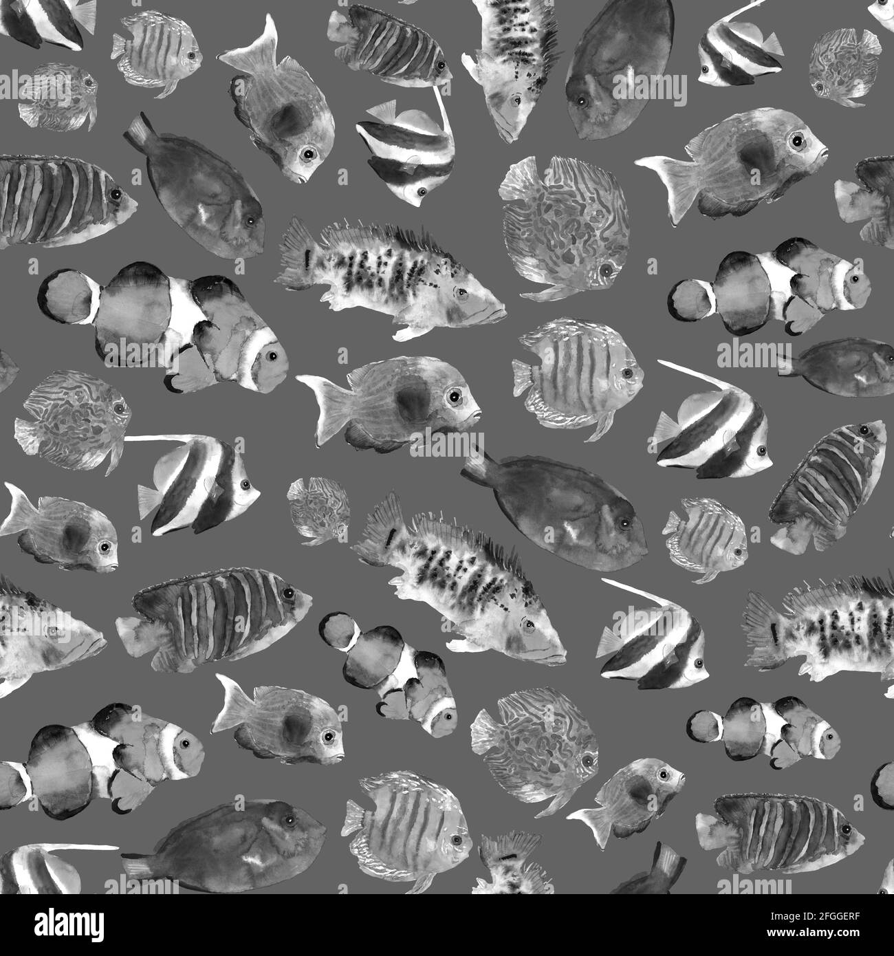 Monochrome exotische tropische Fische Nahtloses Muster handgezeichnet in Aquarell für Dekorationsdesign. Unterwasserwelt. Graues Muster Stockfoto