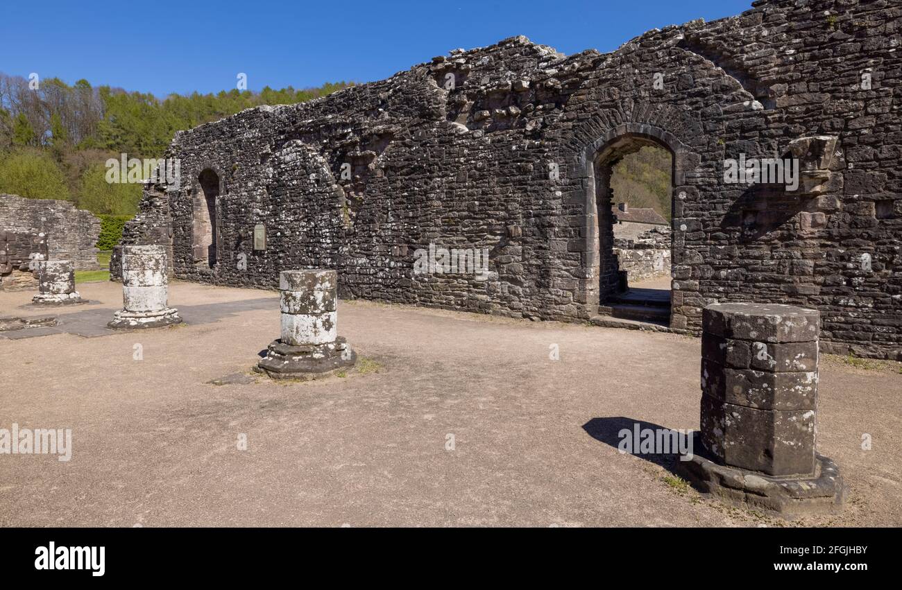 Ruins of the Day-Room in Tintern Abbey, Monmouthshire, Wales, Großbritannien Stockfoto