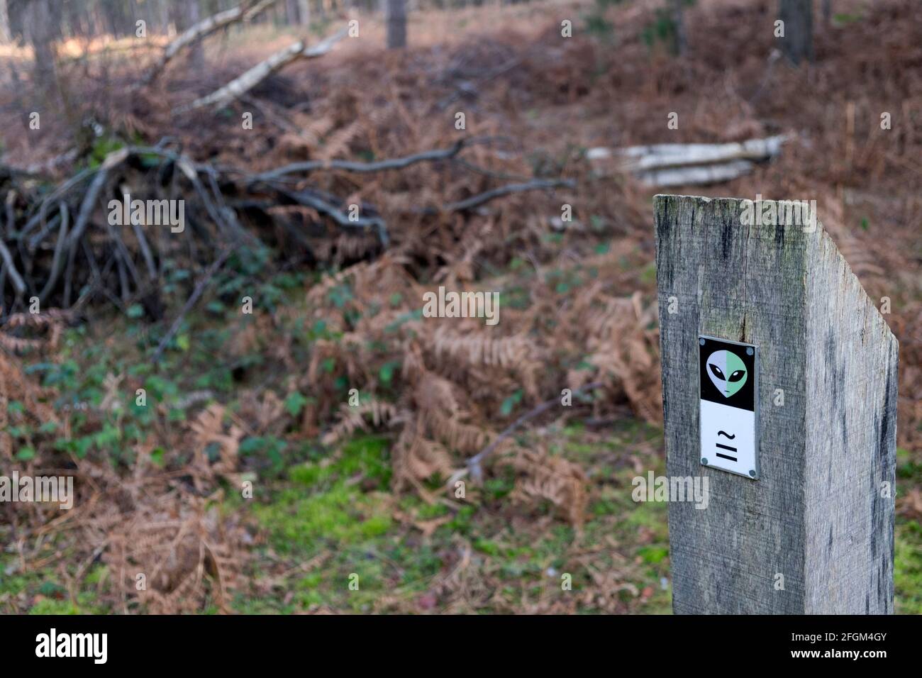 UFO-Trail-Schild Rendlesham Forest Suffolk UK Stockfoto