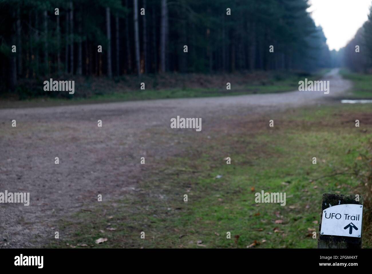 UFO-Trail-Schild Rendlesham Forest Suffolk UK Stockfoto