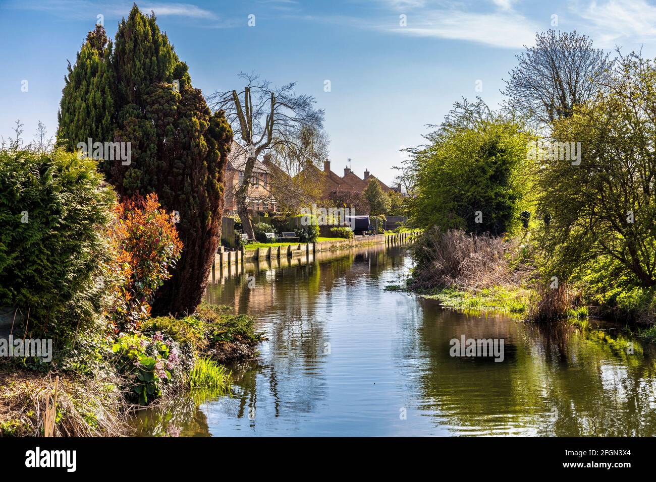 Häuser am Fluss Ivel in Langford von Henlow Common und Langford Meadows, Bedfordshire, Großbritannien Stockfoto