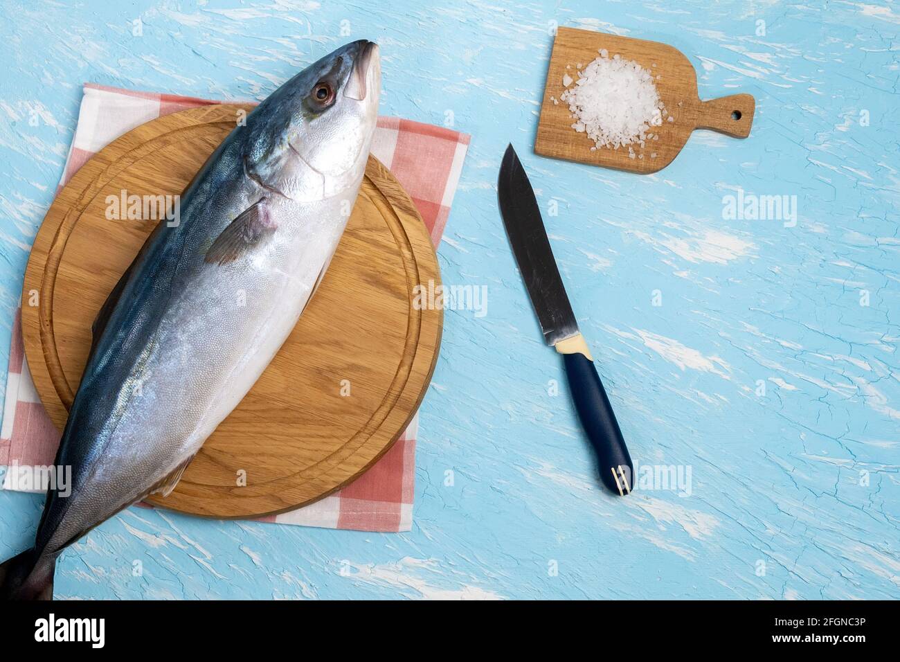 Großamberjack Seriola dumerili auf blauem Hintergrund. Draufsicht Stockfoto