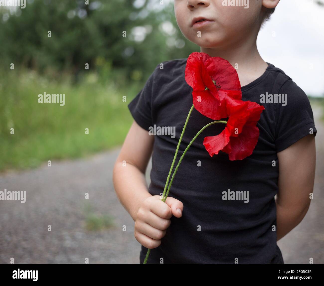 Trauriger Kleinkind Junge in einem schwarzen T-Shirt hält zwei Mohnblumen in den Händen. Konzentriere dich auf die Blume. Reflexion über das Thema Krieg. Memorial Day Stockfoto