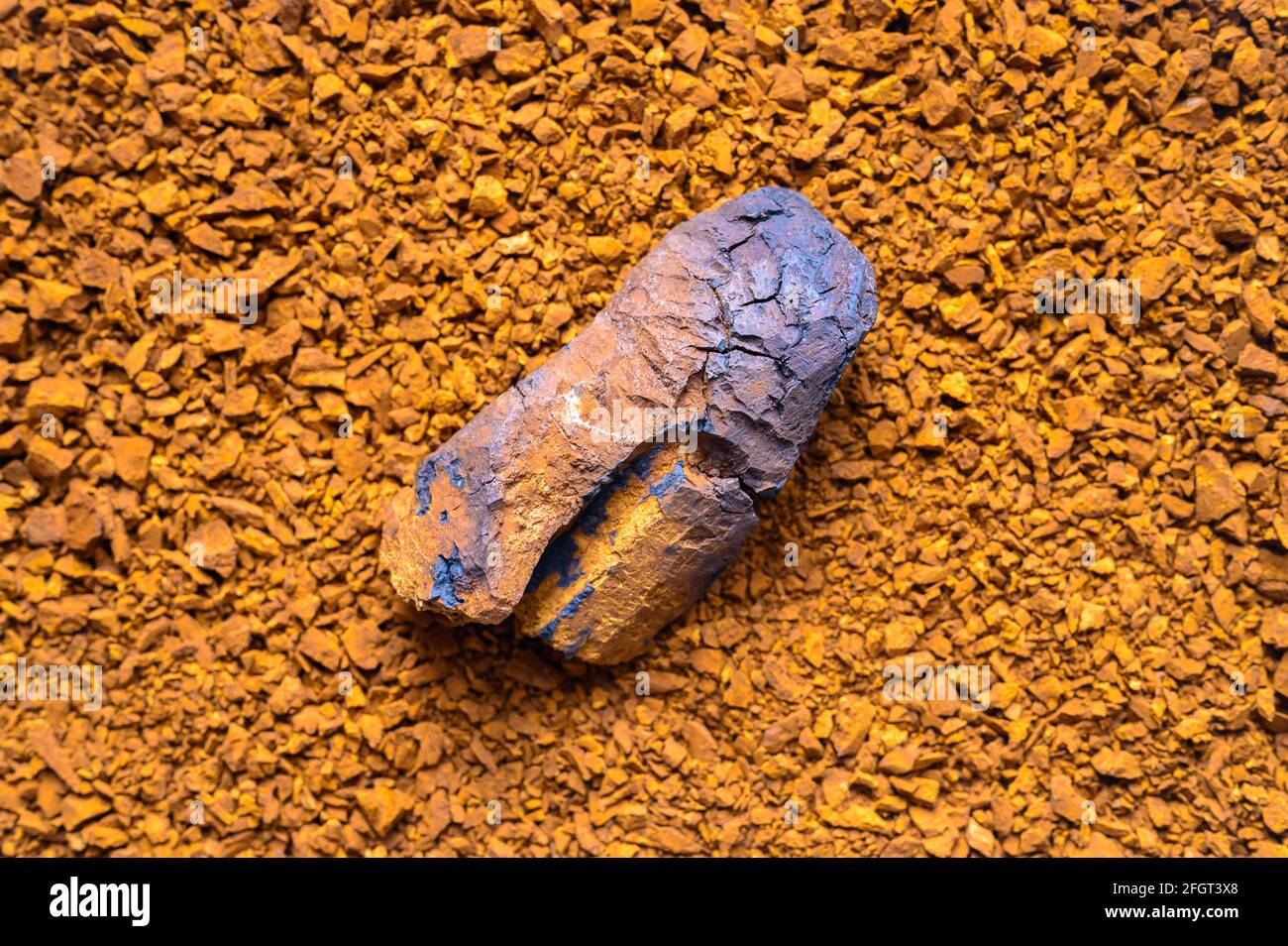 Chaga Pilz. Teil des geschälten Birkenpilzes Chaga auf dem Hintergrund von Haufen kleine Stücke Stockfoto