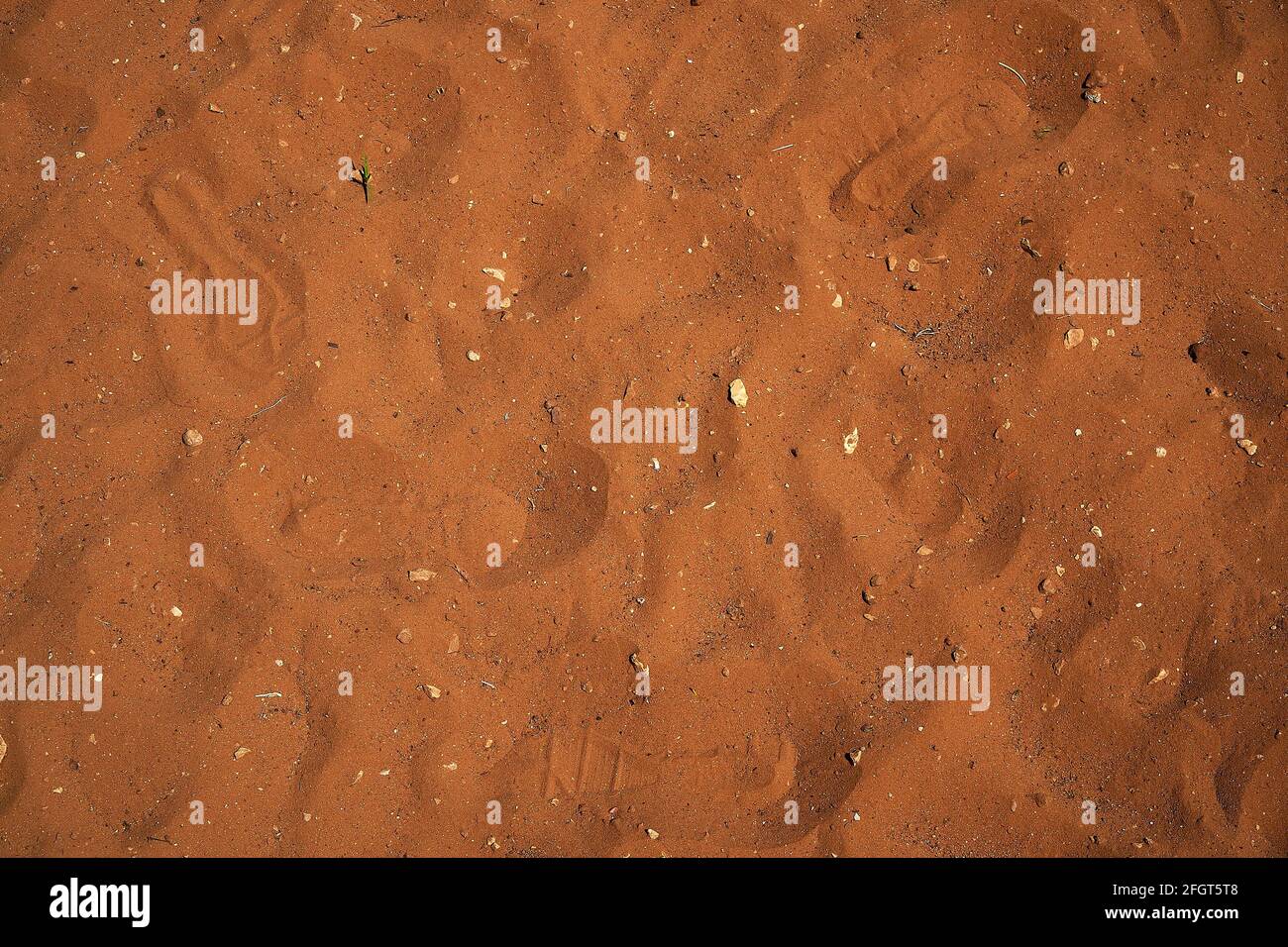 Gelborange Sandhintergrundstruktur mit einigen kleinen Steinen und menschlichen Schritten. Stockfoto