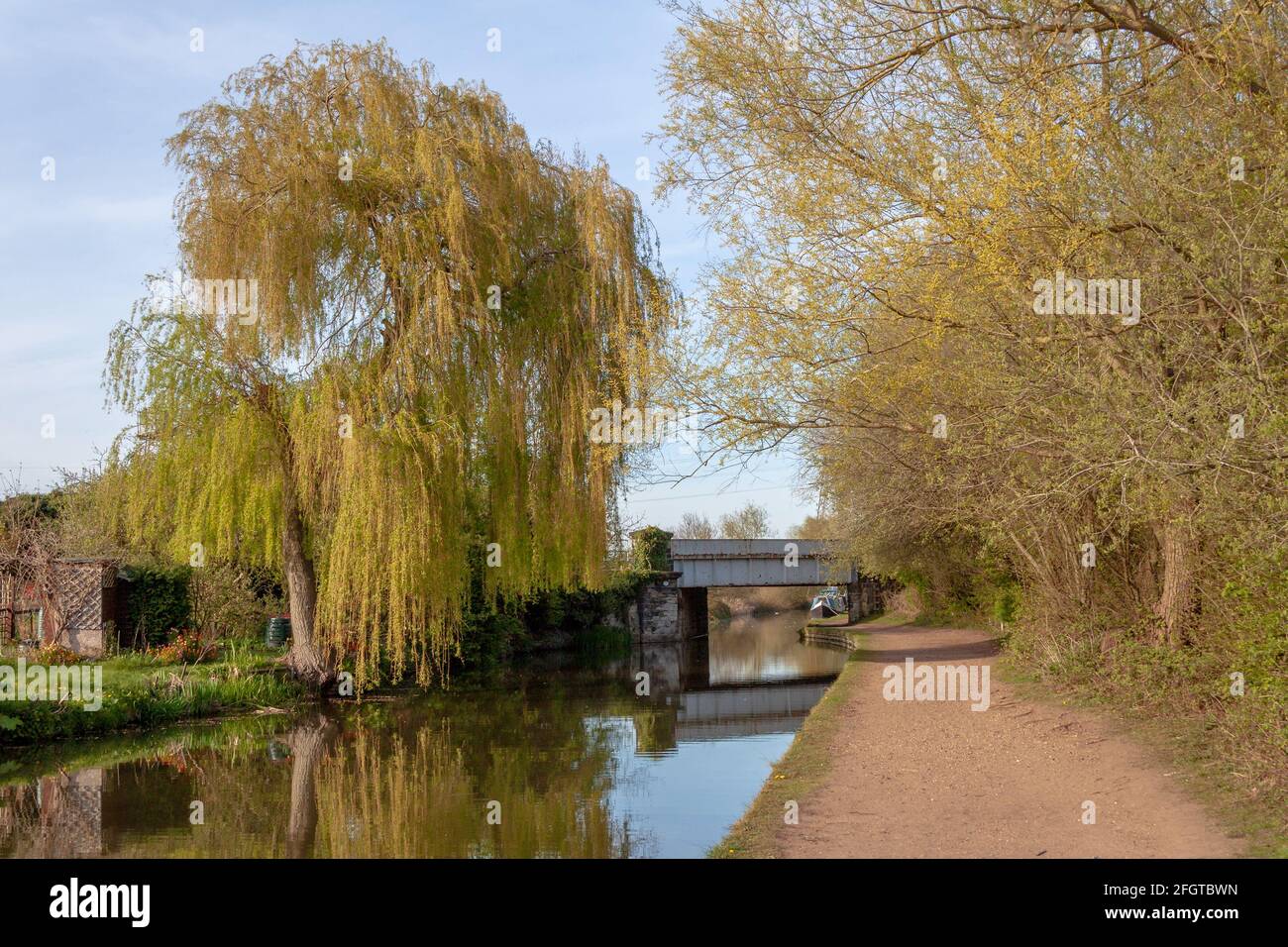 Eine malerische Szene auf dem Trent und Mersey Canal in der Nähe von Willington, die ein Eisenbahnviadukt und Bäume in einer malerischen ländlichen Umgebung zeigt. Stockfoto