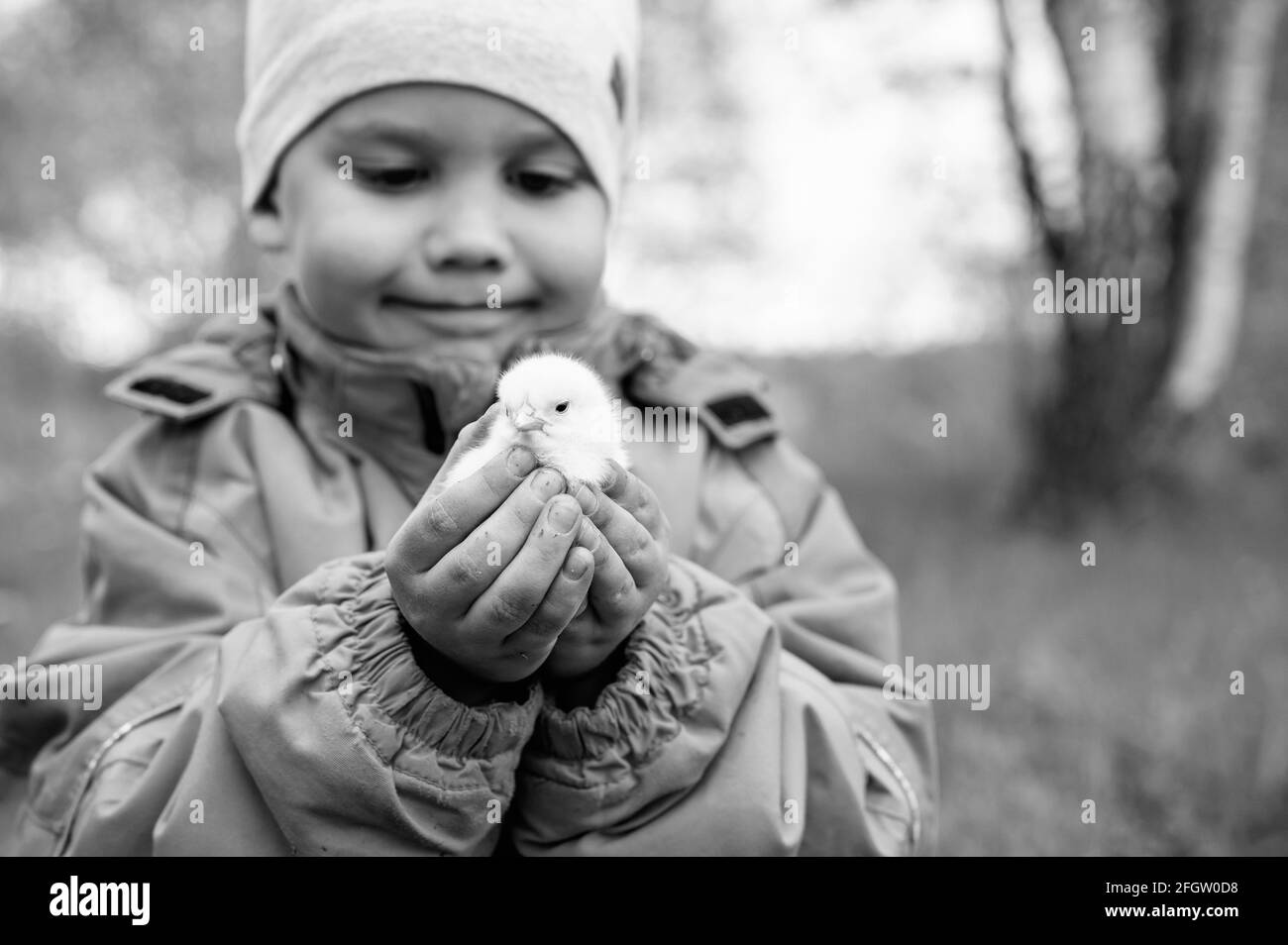 Happy Kid Boy Little Farmer hält ein neugeborenes Baby Huhn in den Händen in der Natur im Freien. Landhausstil. In schwarz und weiß getönt Stockfoto