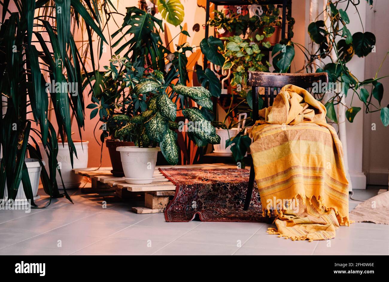 Verschiedene schöne Zimmerpflanzen auf dem Boden im Zimmer. Haus Dekoration. boho chic Interieur. Balinesischer Stil. Stockfoto