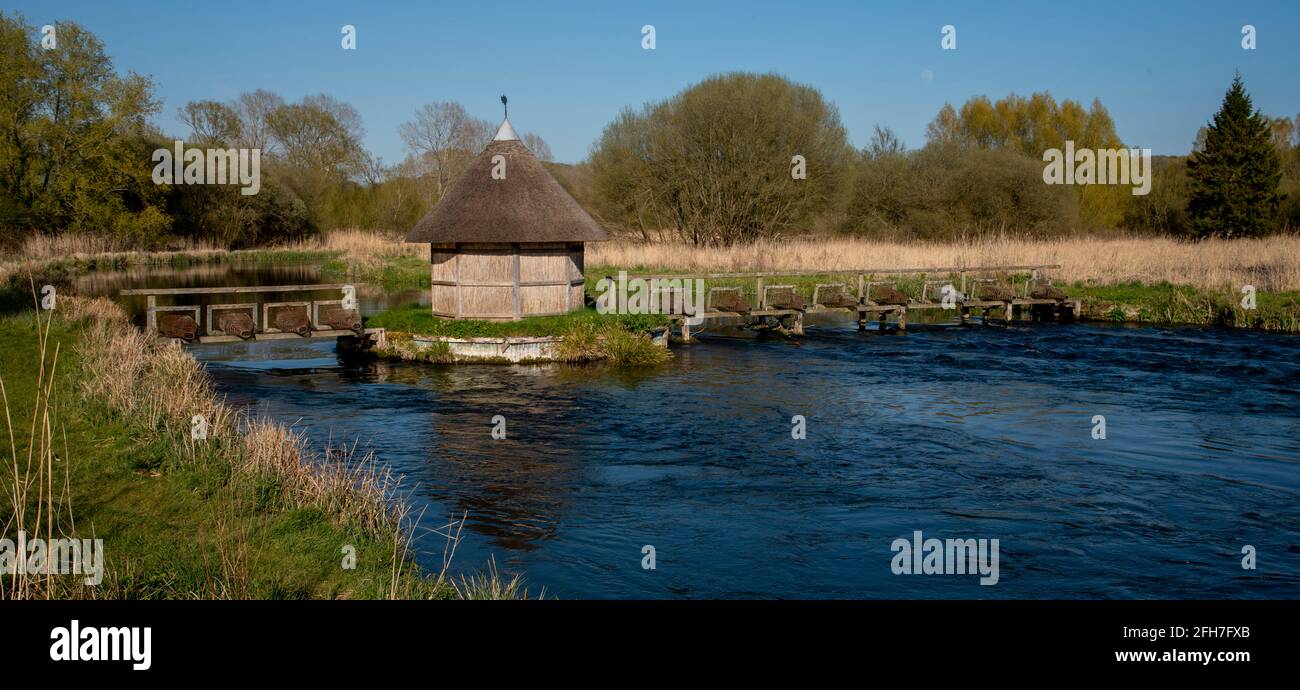 Hampshire, England, Großbritannien. Der Fluss testet, wie er durch Longstock fließt, mit einer reetgedeckten Fischerhütte und Aalfallen, die diesen berühmten Chalkstream-Fluss überspannen. Stockfoto