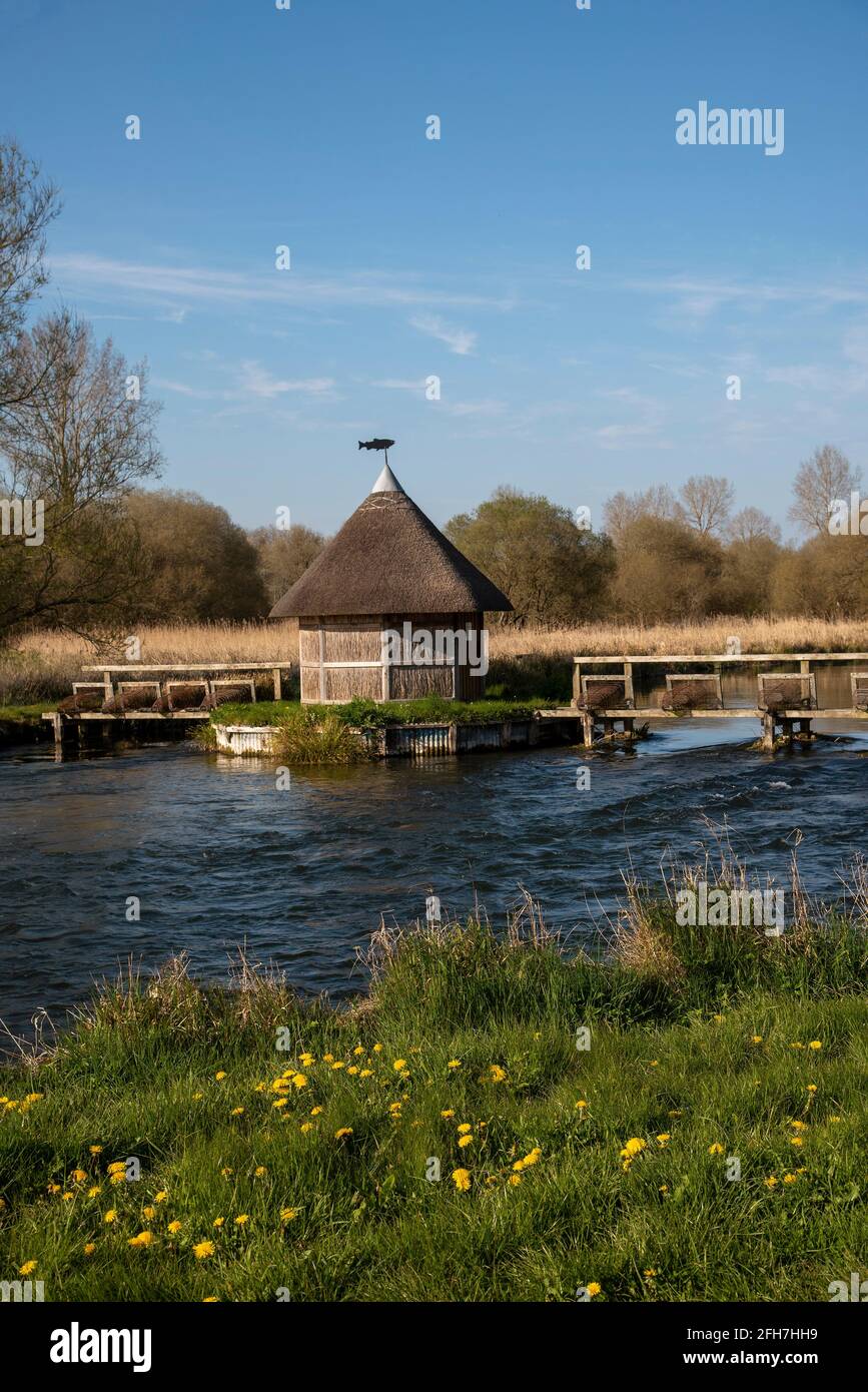 Hampshire, England, Großbritannien. Der Fluss testet, wie er durch Longstock fließt, mit einer reetgedeckten Fischerhütte und Aalfallen, die diesen berühmten Chalkstream-Fluss überspannen. Stockfoto