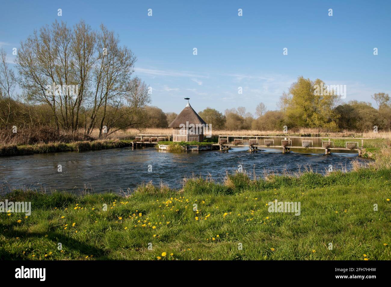 Hampshire, England, Großbritannien. Der Fluss testet, wie er durch Longstock fließt, mit einer reetgedeckten Fischerhütte und Aalfallen, die diesen berühmten Chalkstream-Fluss überspannen. Stockfoto