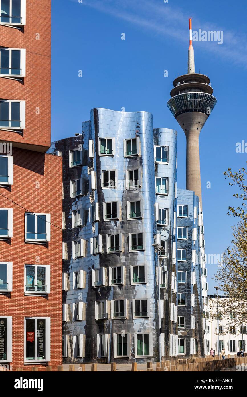 Gehry Bauten, Gehry-Gebäude, mit Rheinturm, Medienhafen, Düsseldorf, Nordrhein-Westfalen, Deutschland Stockfoto