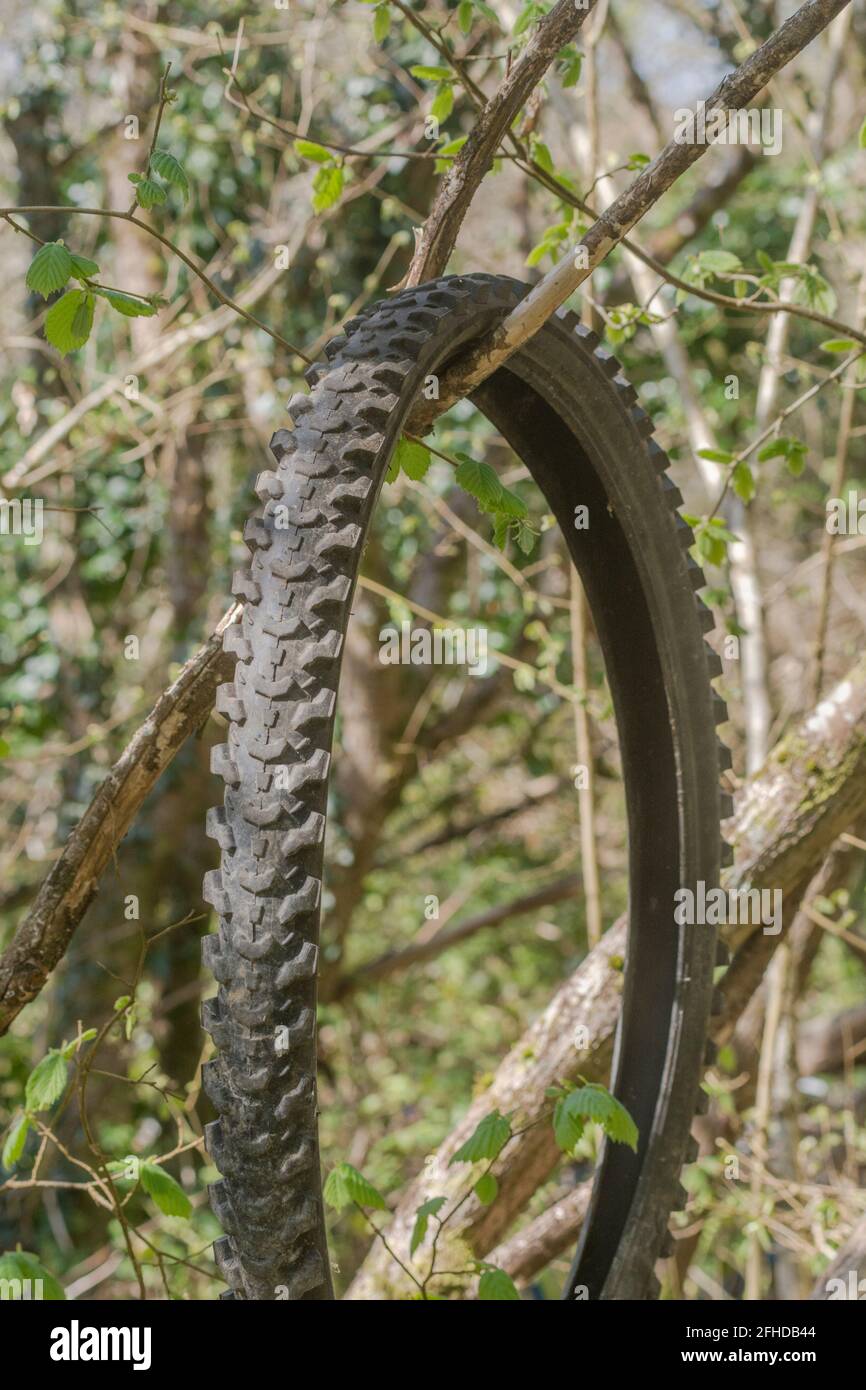 Alte Fahrradreifen / Fahrradreifen in Wald, wo der Reifen in zwischen den  Bäumen Sträucher gewachsen gedumpt. Für den Auslauf von Dampf, gesehen  bessere Tage, Recycling Stockfotografie - Alamy