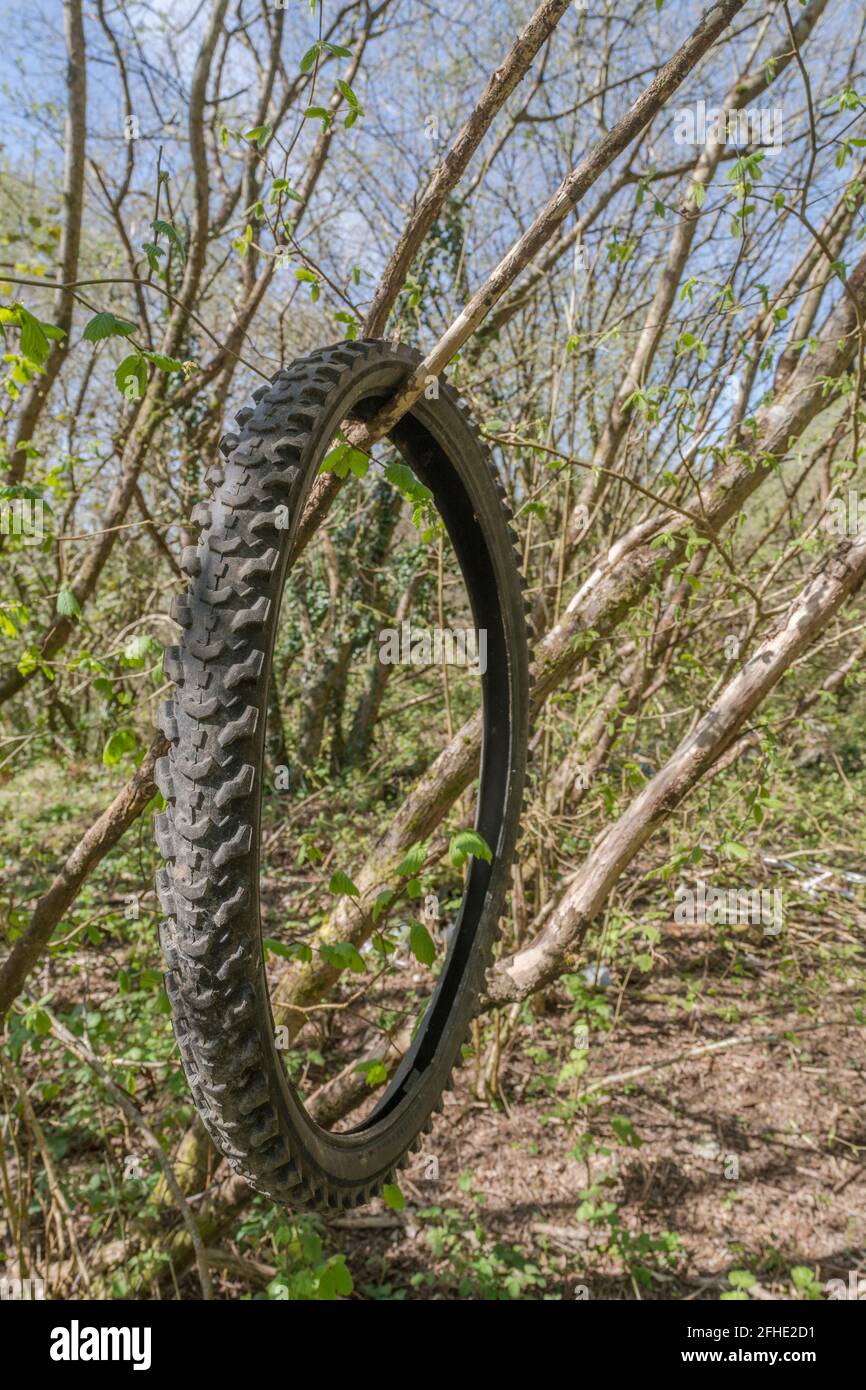 Alte Fahrradreifen / Fahrradreifen in Wald, wo der Reifen in zwischen den  Bäumen Sträucher gewachsen gedumpt. Für den Auslauf von Dampf, gesehen  bessere Tage, Recycling Stockfotografie - Alamy