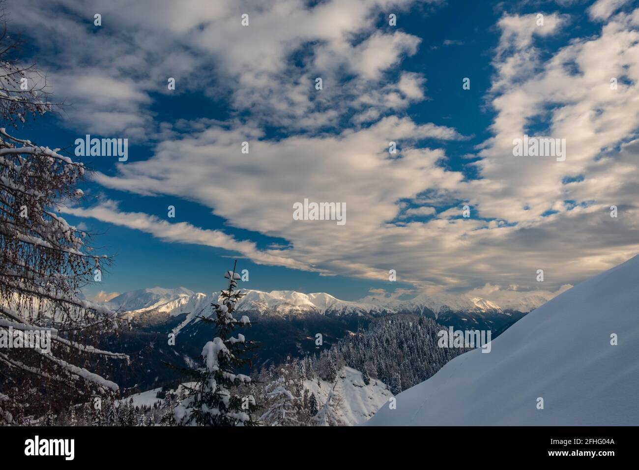 Auf dem Berg Zoncolan, Karnischen alpen nach einem großen Schneefall. Provinz Udine, Region Friaul-Julisch Venetien, Italien Stockfoto