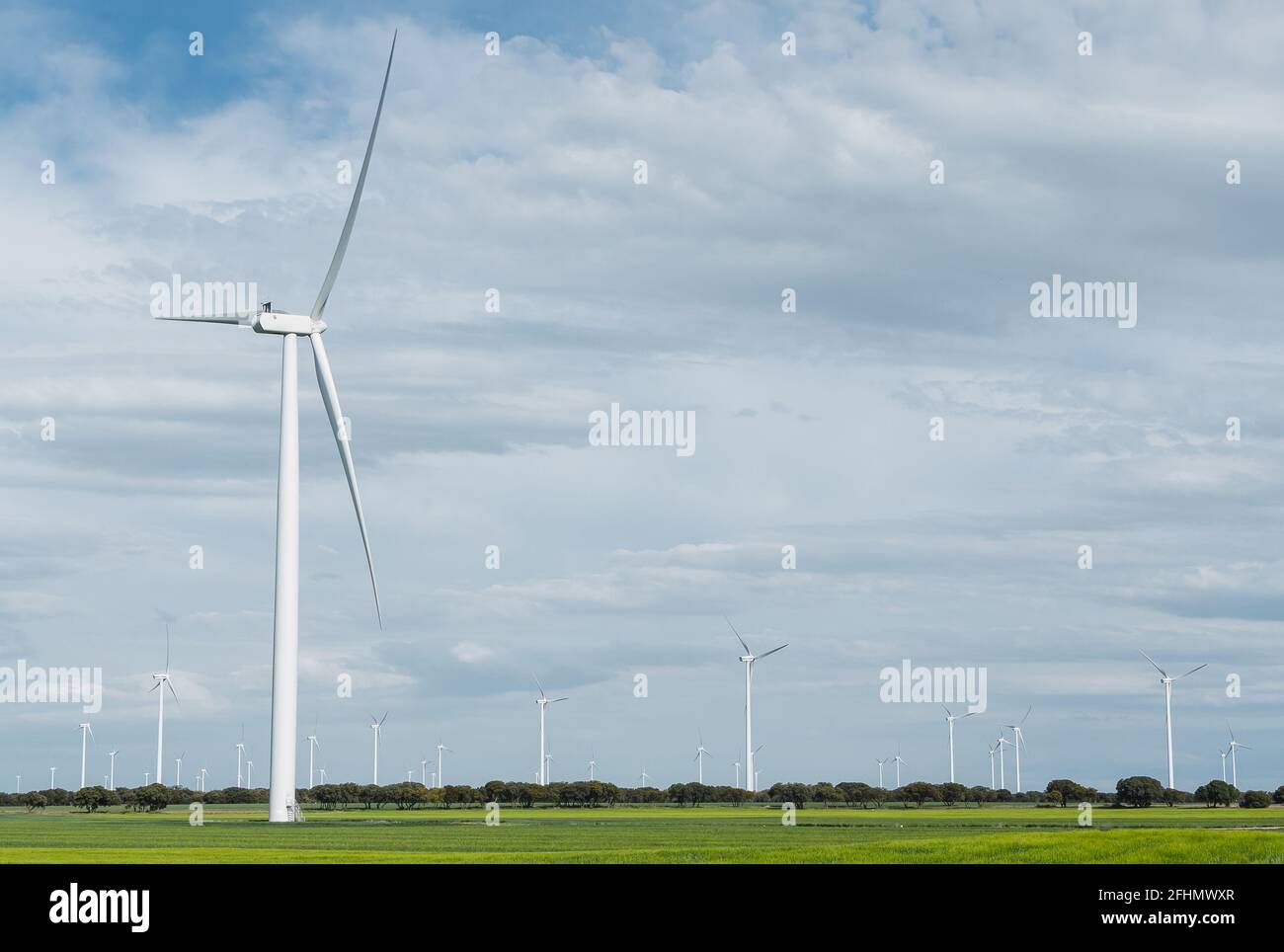 Foto eines Windgenerators mit Kopierraum. Windpark. Stockfoto