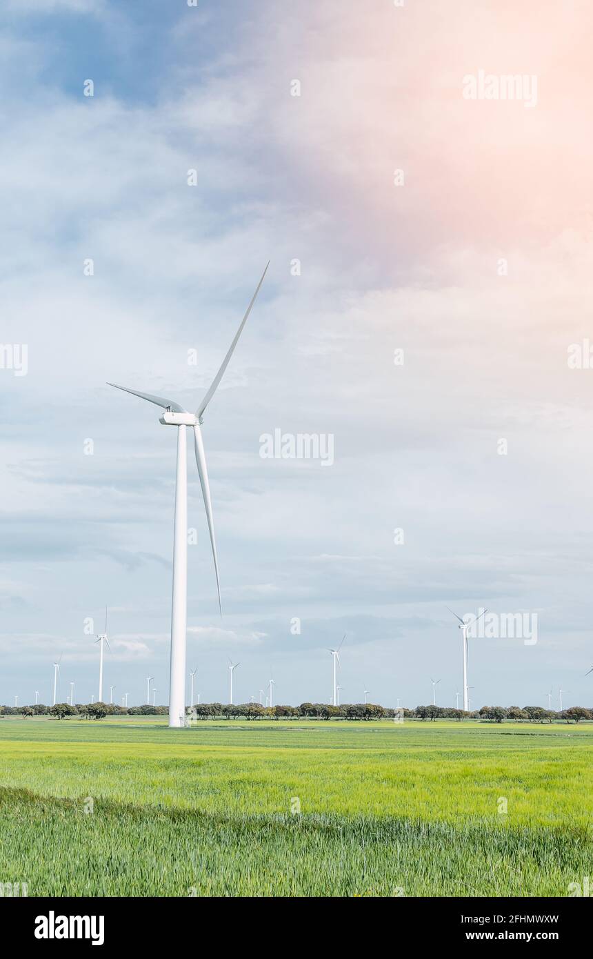 Foto eines Windgenerators mit Kopierraum. Windpark. Stockfoto