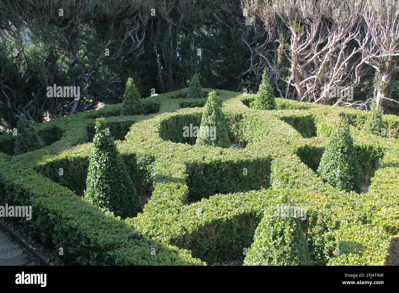 Green Garden Labyrinth Verloren Stockfoto