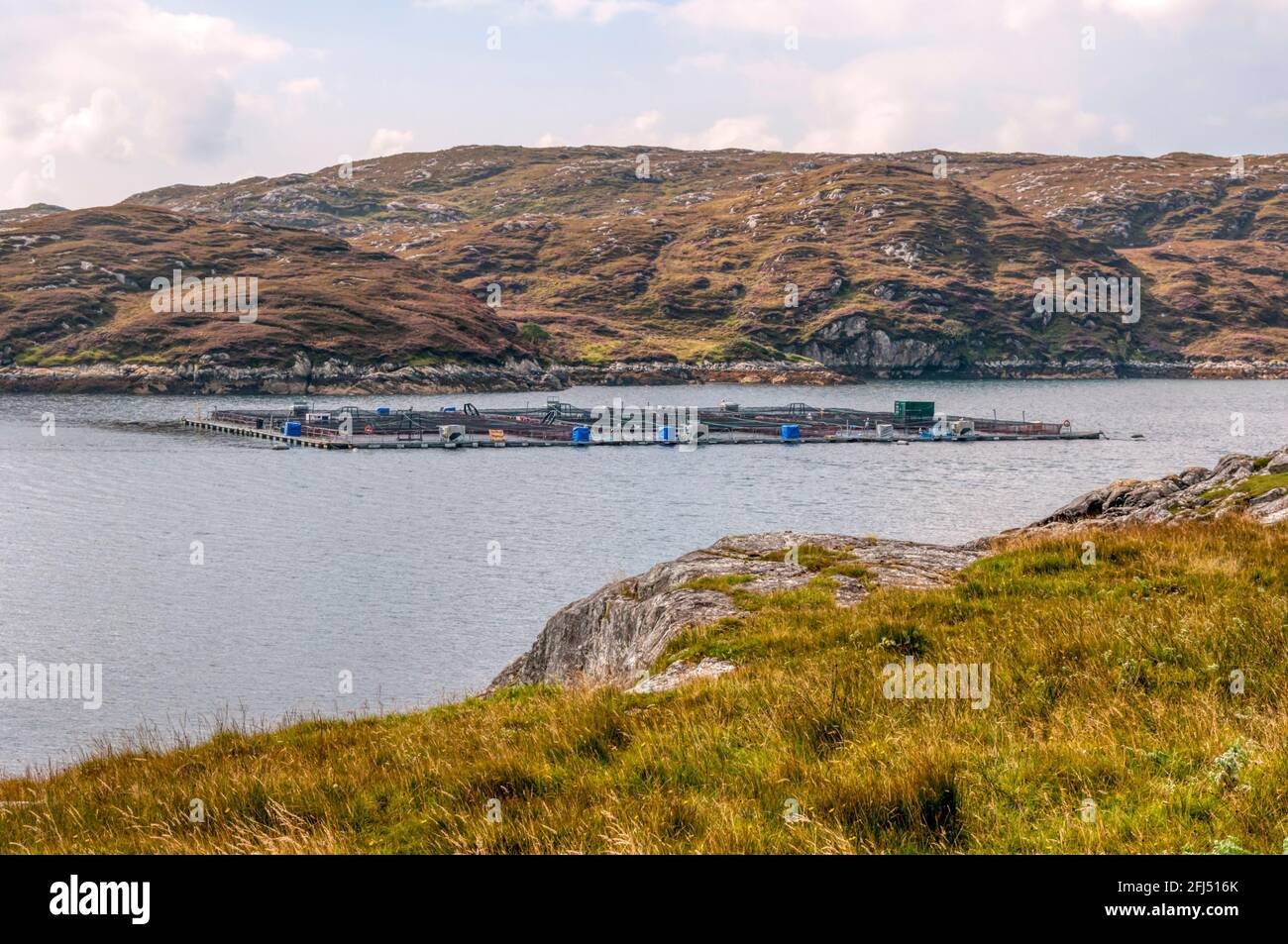 Fischzucht Muschelfischerei in Loch Stockinish, einem See-loch an der Küste der Isle of Harris in den Äußeren Hebriden. Stockfoto