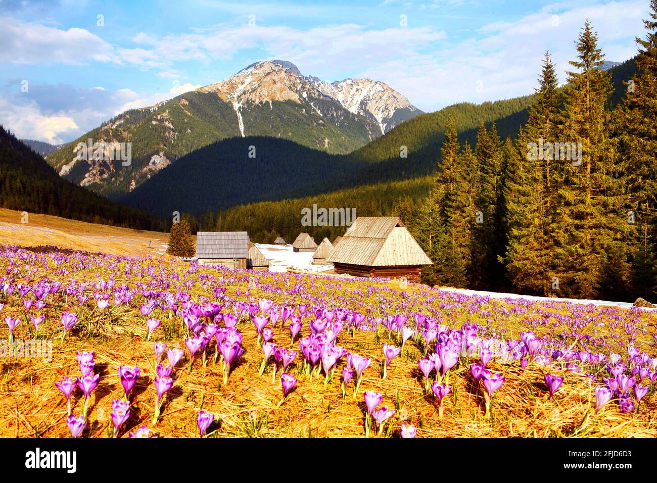 Polen, Tatra, Chocholow-Tal, woiwodschaft Leserpolen. Stockfoto