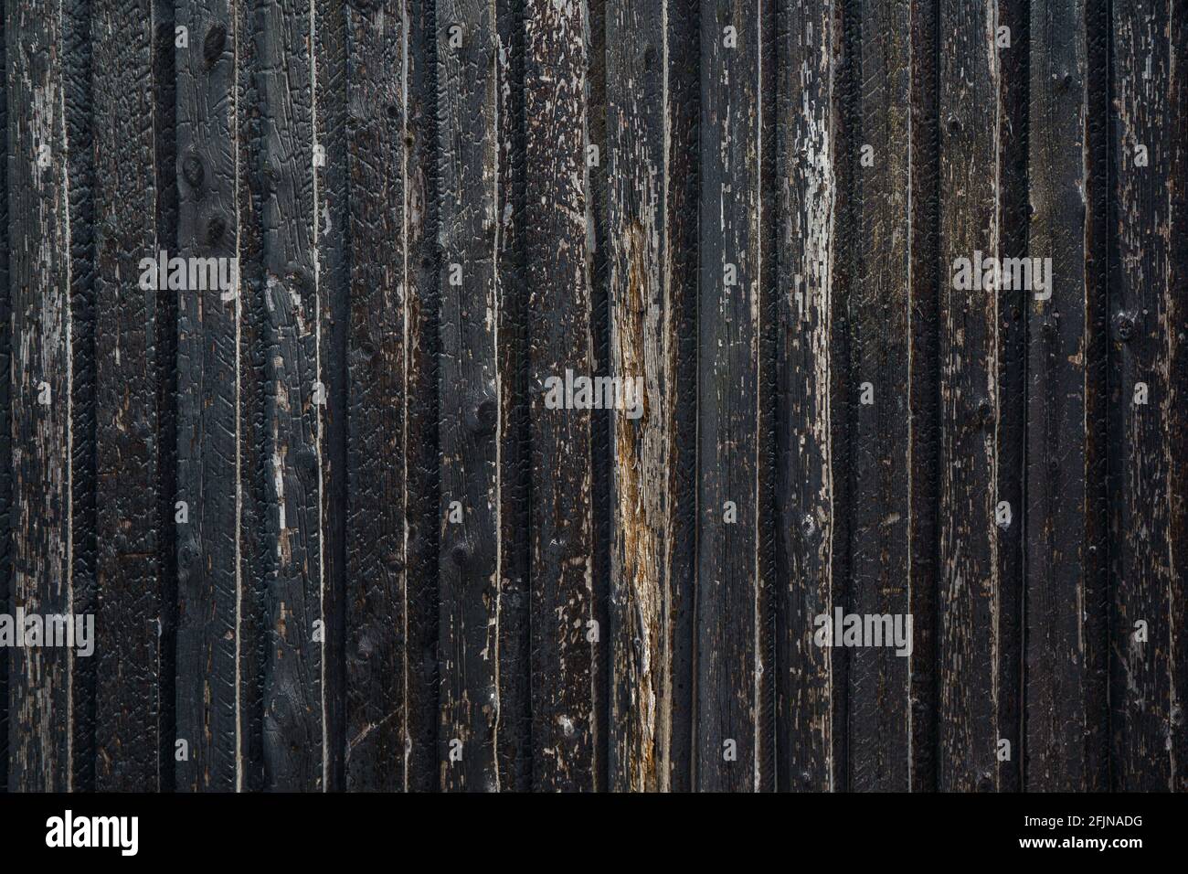 Schwarze Holzstruktur Hintergrund von verbranntem Holz. Holzstruktur nach dem Feuer Stockfoto