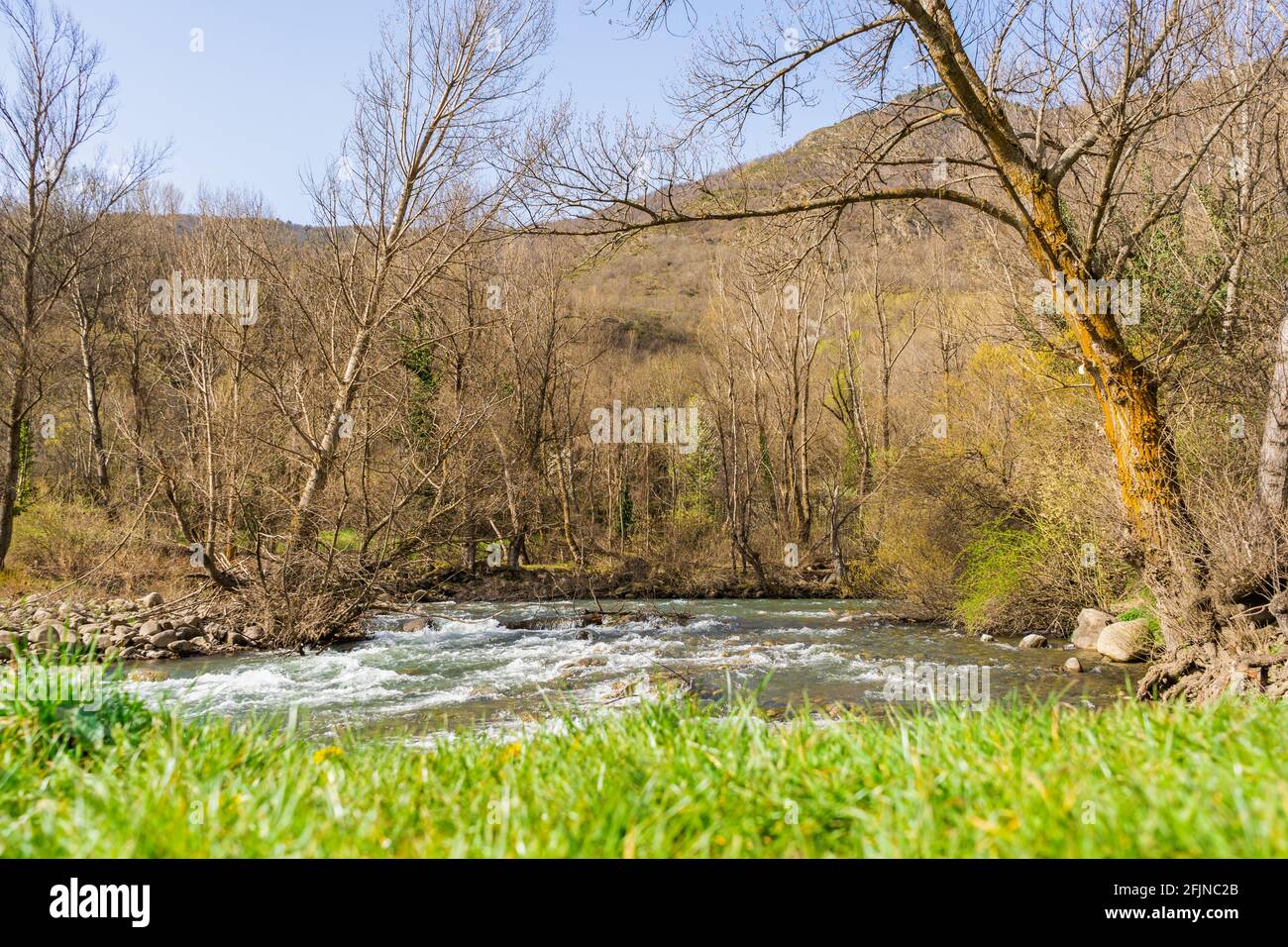 Erstaunlicher Fluss in Waldpark Landschaft mit grünem Gras im Vordergrund.Noguera Pallaresa Fluss in den spanischen Pyrenäen. Stockfoto