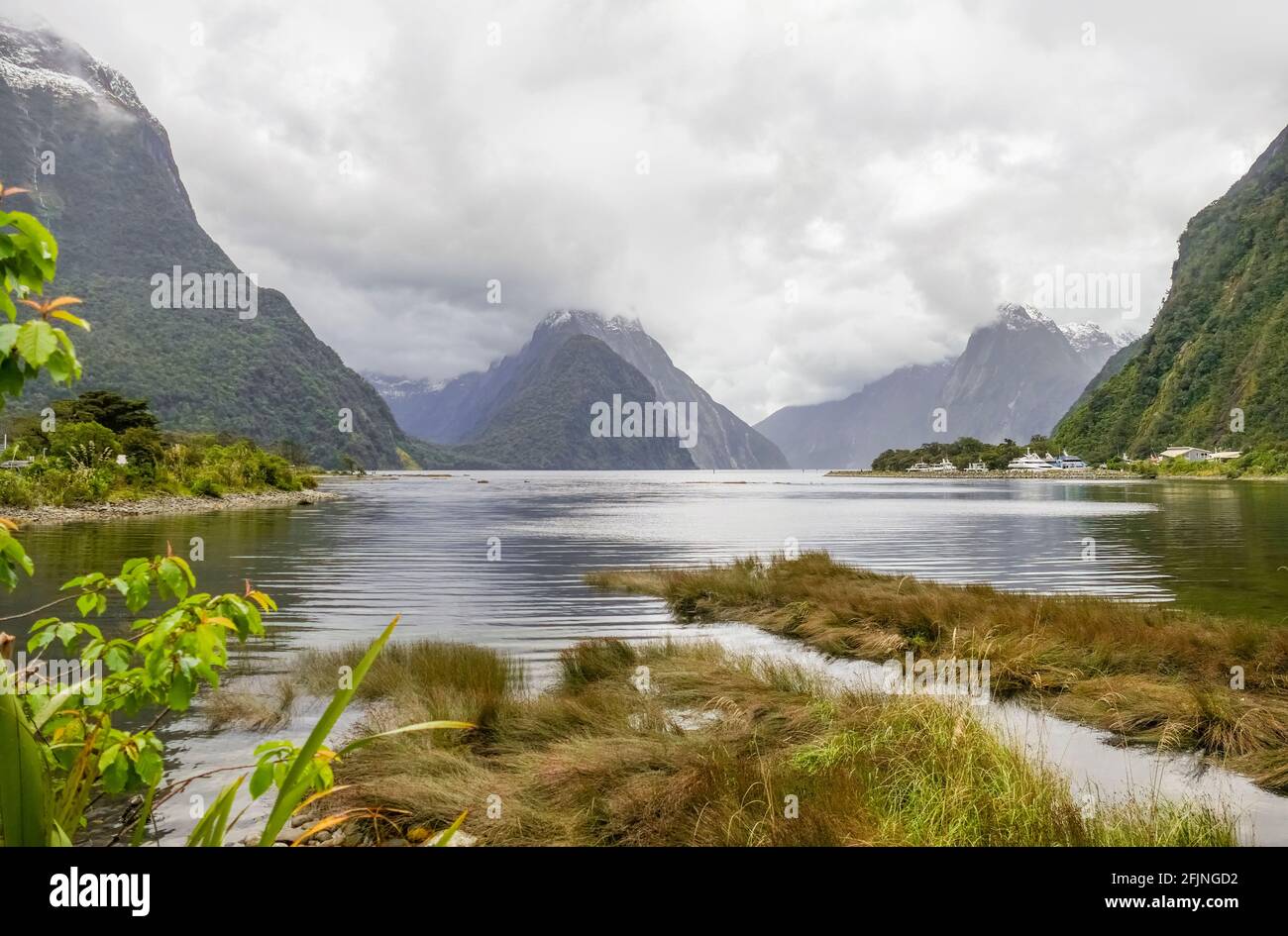 Natürliche Landschaft rund um den Milford Sound auf der Südinsel von Neuseeland Stockfoto
