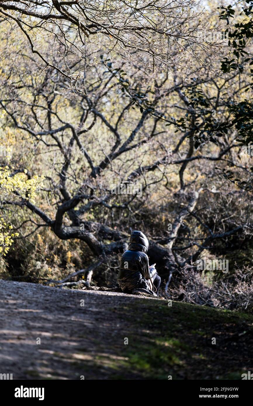 Hohl Teiche, Epping Forest, London, Vereinigtes Königreich Stockfoto