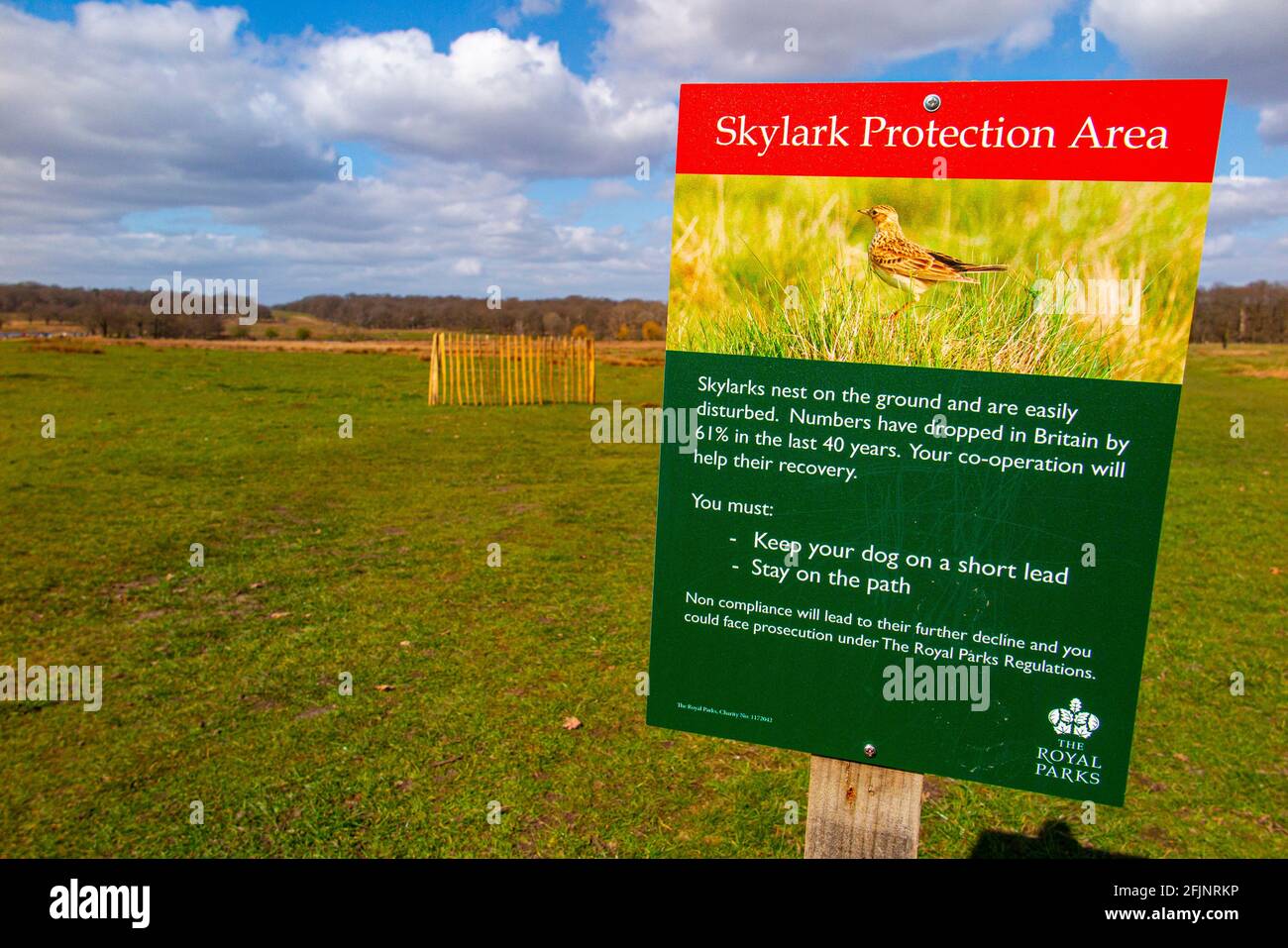 Ein Schild mit dem Schutzgebiet der Feldlerche im Richmond Park, London, Großbritannien Stockfoto