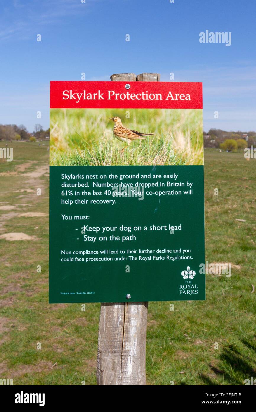Ein Hinweis zum Skylark Protection Area, in dem Besucher aufgefordert werden, nicht in der Rasenfläche im Richmond Park, London, Großbritannien, zu Fuß zu gehen. Stockfoto