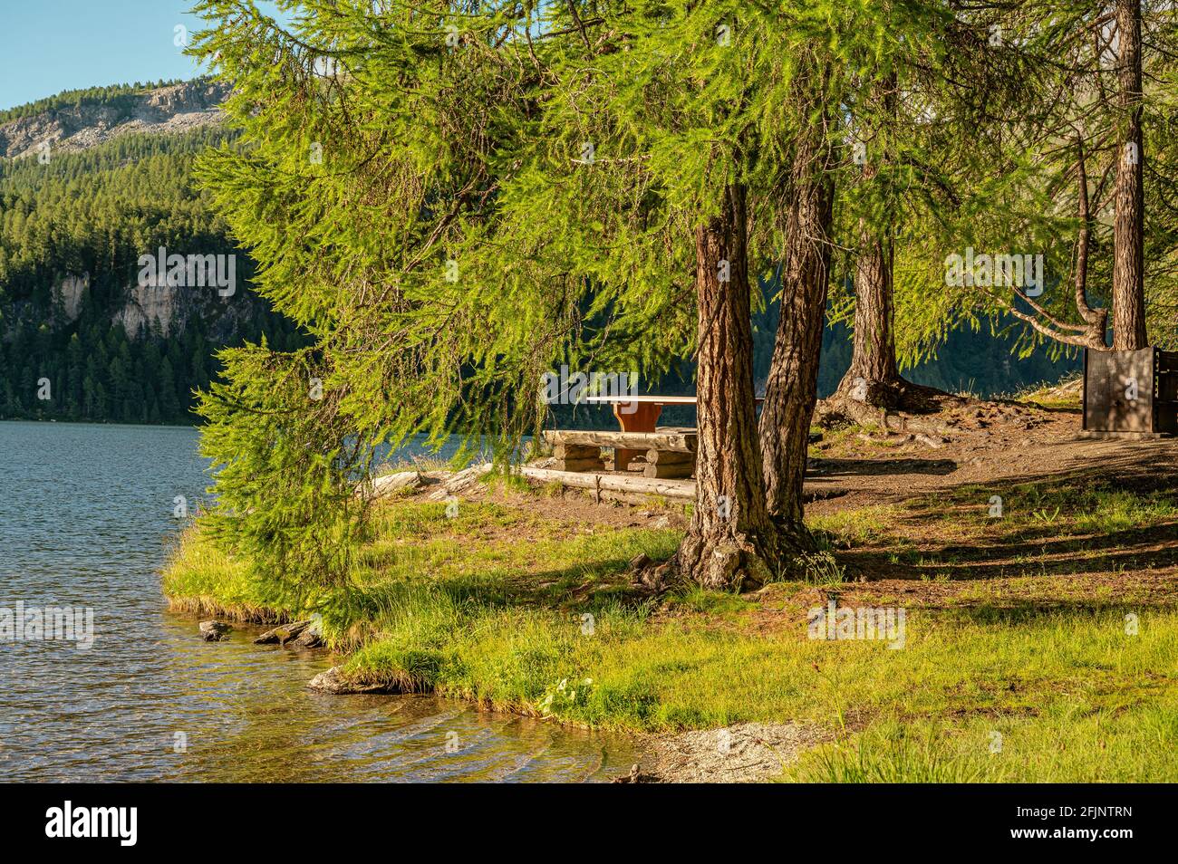 Schöner Grillplatz am See auf der Chaste Peninsula am Sils-See im Sommer, Oberengadin, Schweiz Stockfoto
