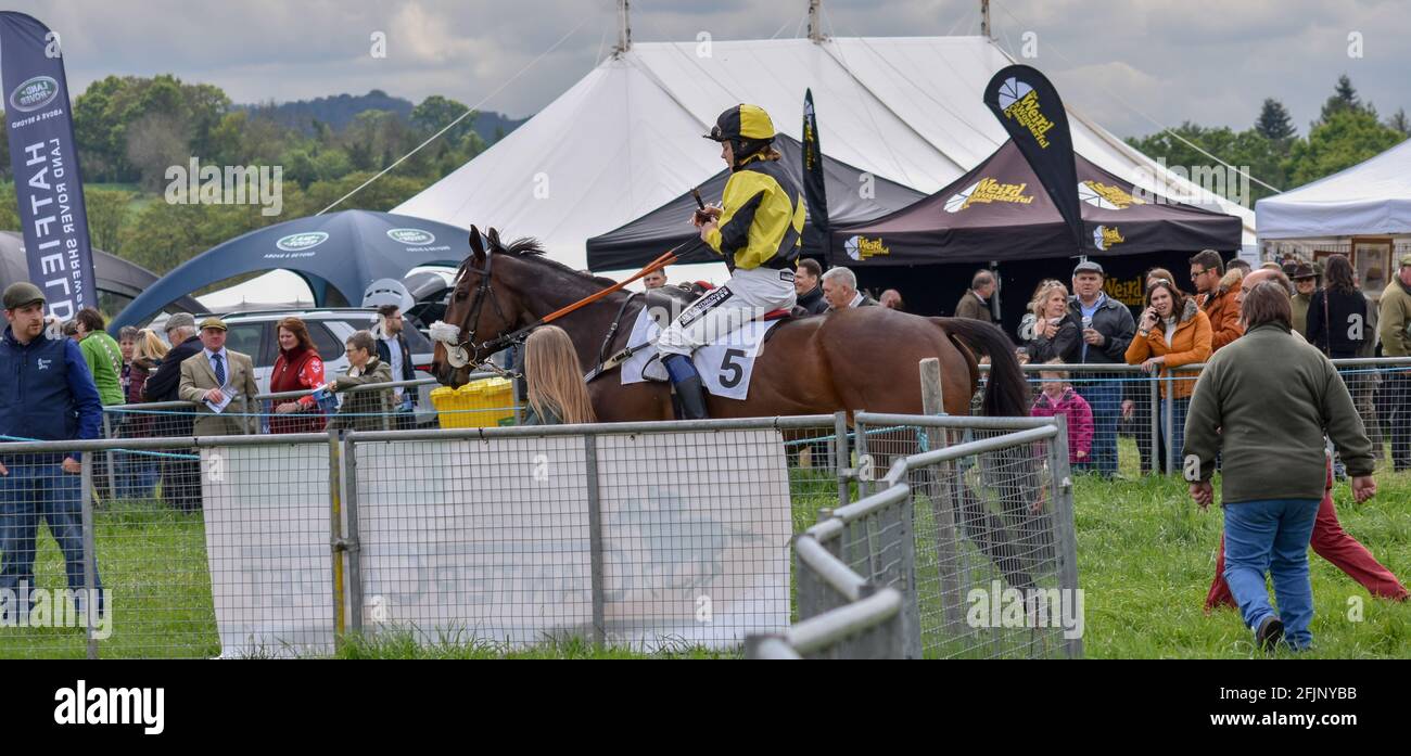 Eyton Races an einem Feiertag am Montag, Pferderennen von seiner besten Seite. Stockfoto