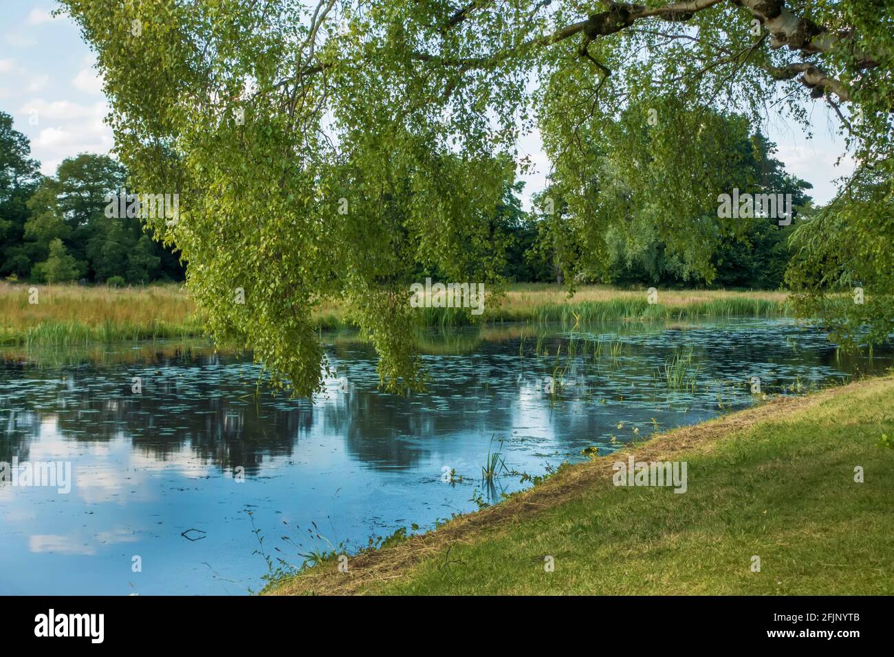 Englische Landschaft mit Fluss zwischen zwei Ufern mit überhängenden Bäumen Stockfoto