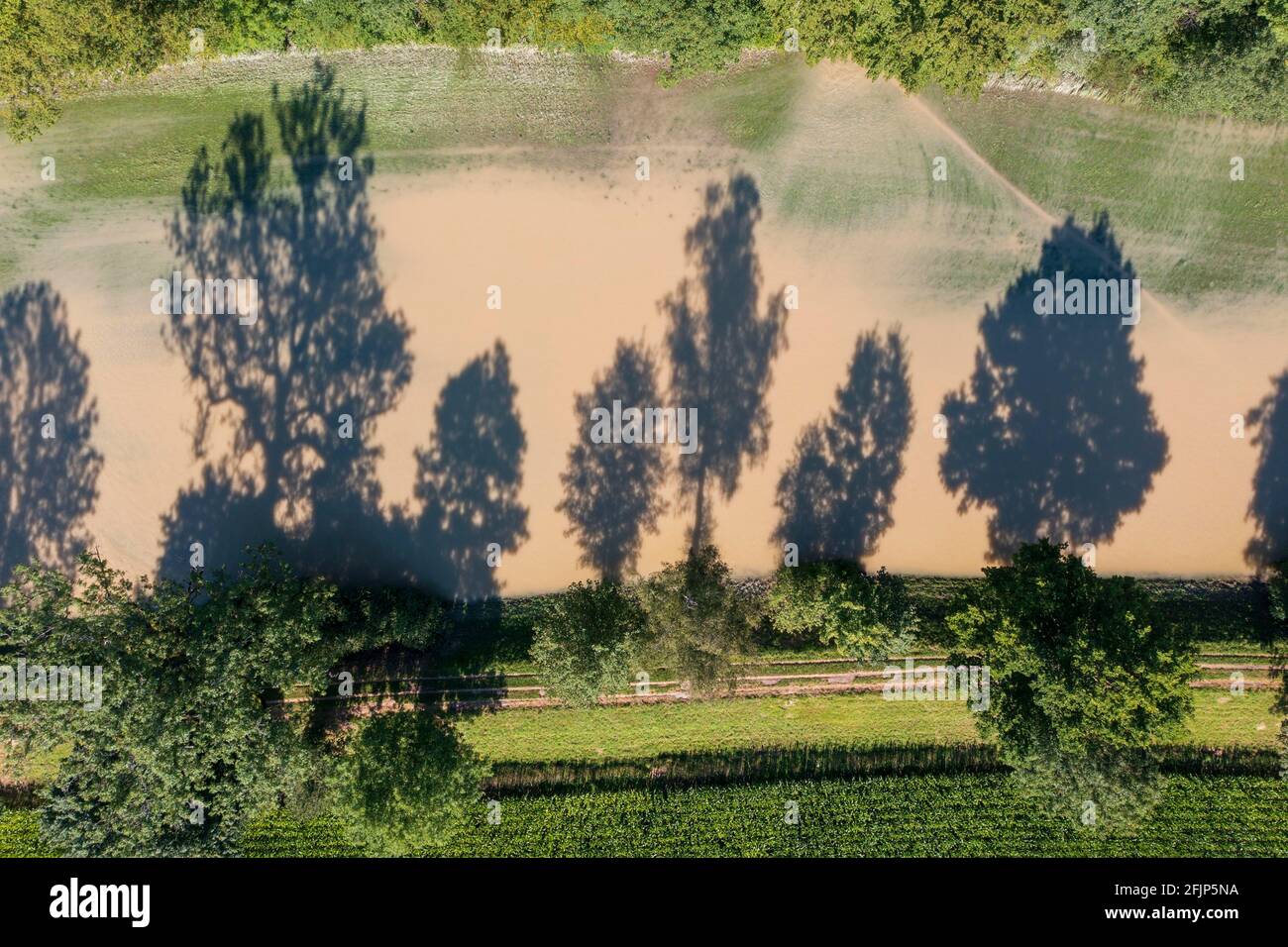 Überflutete Wiese neben der Isar im Hochwasser, Isarauen bei Schaeftlarn, Drohnenbild, Oberbayern, Bayern, Deutschland Stockfoto