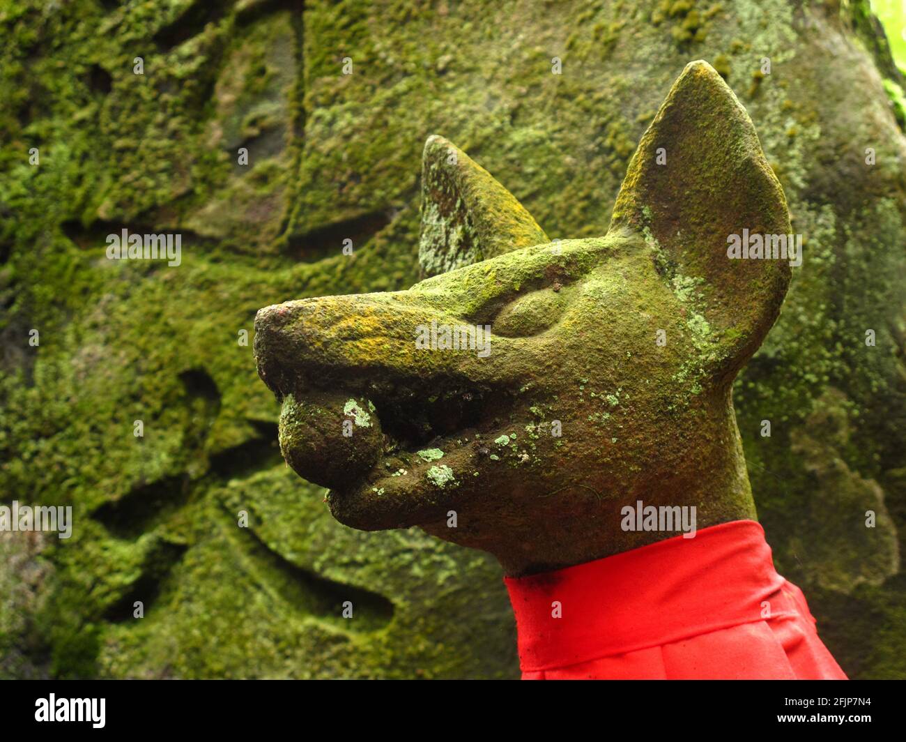 Fuchsstatue mit Reiskugel, Fushimi Inari Taisha-Schrein, Kyoto, Japan Stockfoto