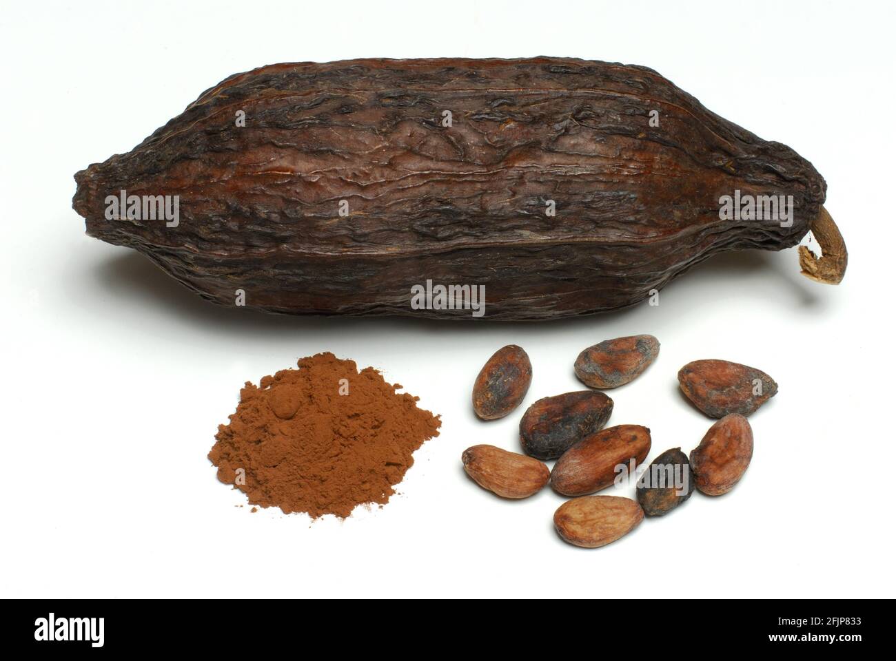 Kakaofrucht mit Kakaobohnen und Kakaopulver (Theobroma cacao), Kakao, Kakaobohne Stockfoto