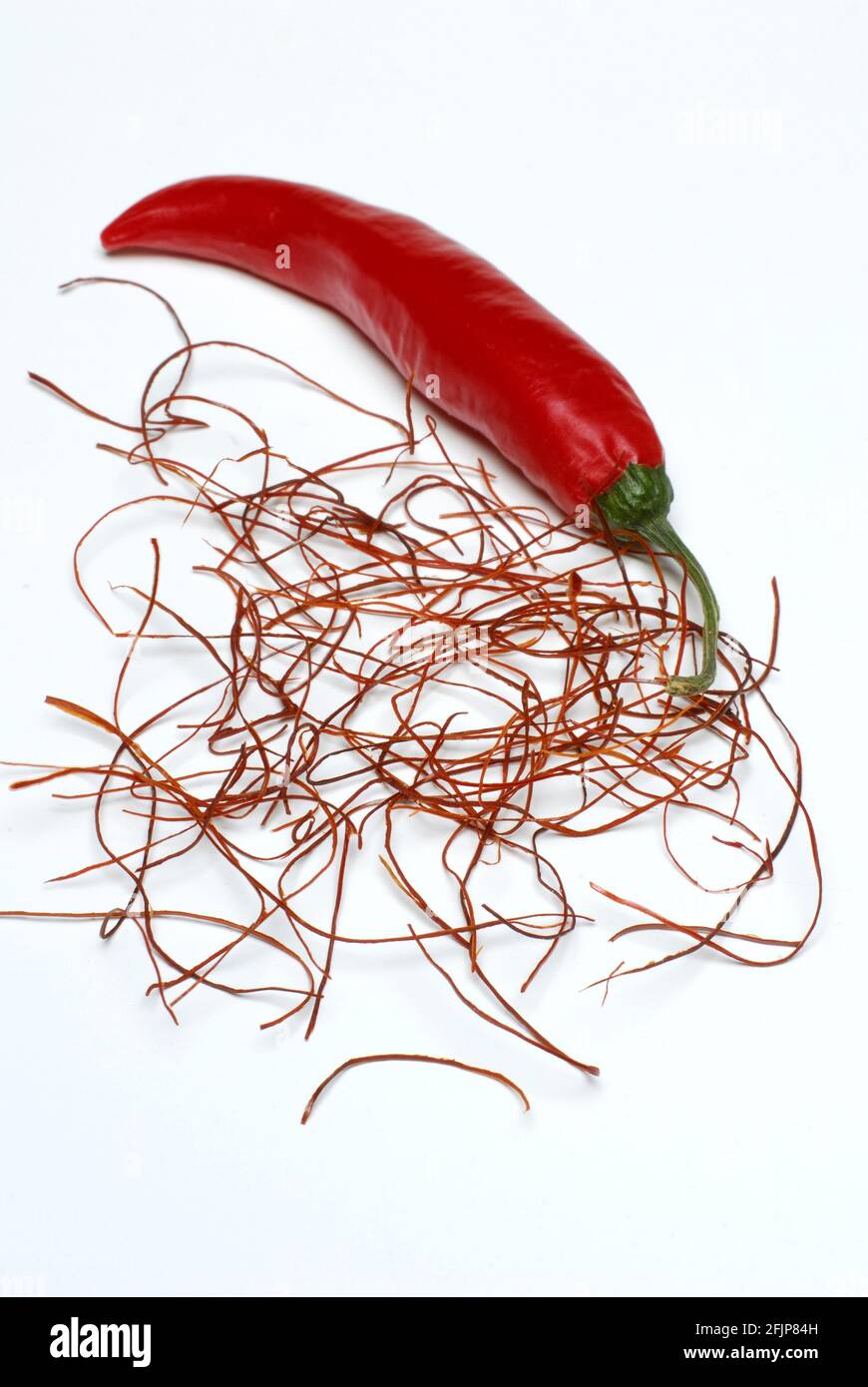 Chilischote und Chilischoten, Chilischoten (Capsicum annuum), Chilischoten, Chilischoten, Chilischoten, Chilischoten, Chilischoten Stockfoto