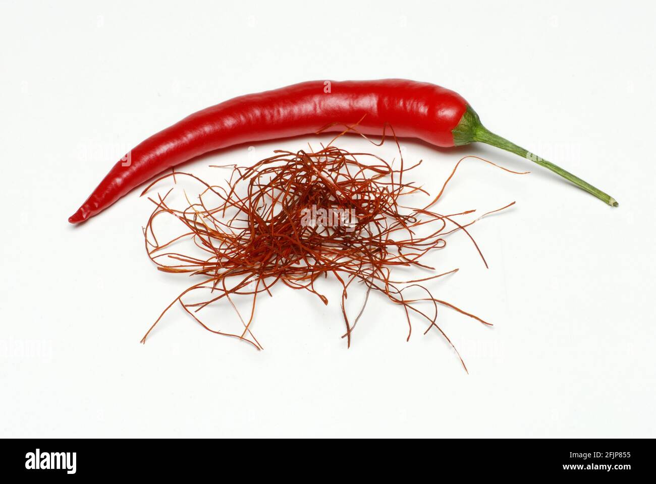 Chilischote und Chilischoten, Chilischoten (Capsicum annuum), Chilischoten, Chilischoten, Chilischoten, Chilischoten, Chilischoten Stockfoto