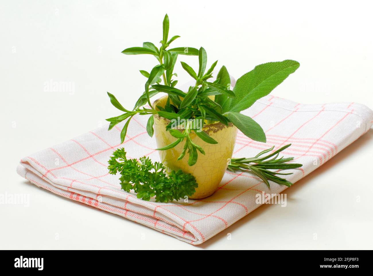 Herzhaft, herzhaft, herzhaft (Satureja hortensis) Petersilie, Rosmarin, Salbei Stockfoto