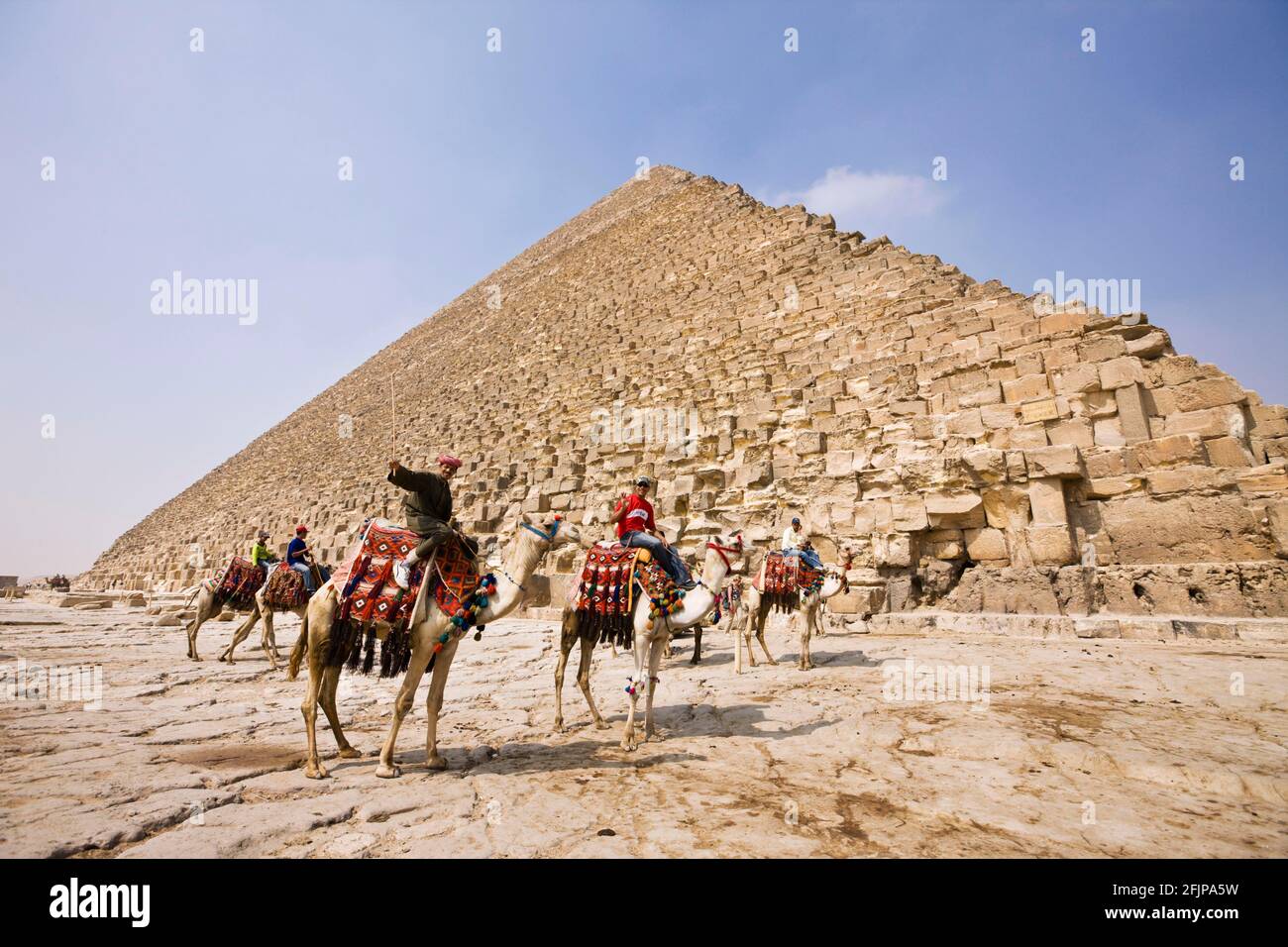 Männer auf Dromedaren (Camelus dromedarius), Cheops-Pyramide, Kairo, Ägypten, Dromedary, Eingehülltes Kamel Stockfoto