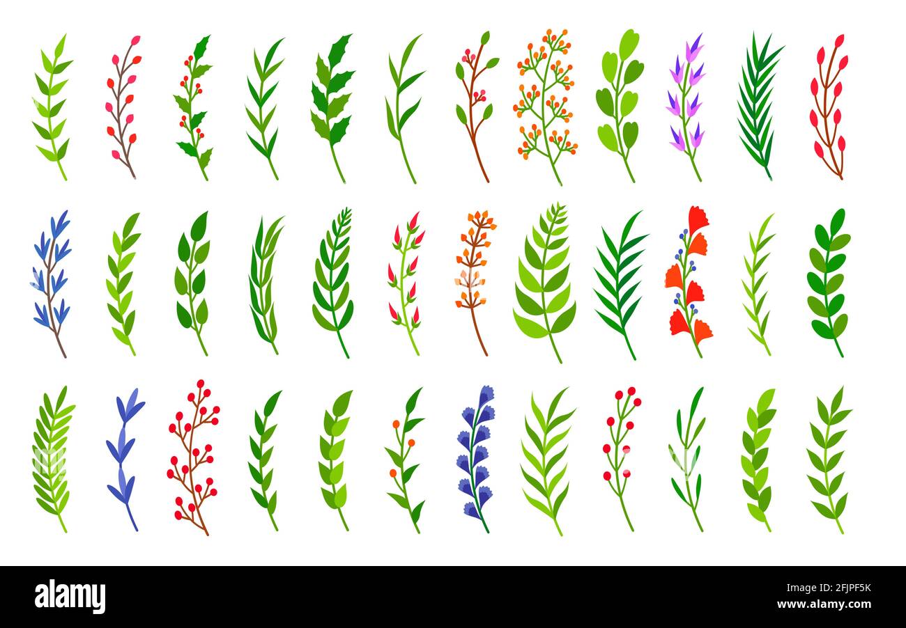 Gebogene grüne Lorbeerbäste Set. Handgezeichnetes florales Pflanzenelement aus Blatt, farbigem Ast, Beere. Florales Objekt für Rahmen, Rahmen, Blumen Ornament Trennwand. Toll für Grußkarten. Vektorgrafik Stock Vektor