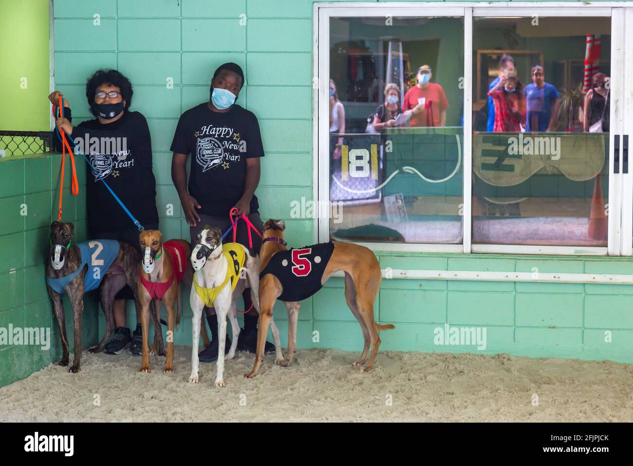 Während sich die Menge im Glas spiegelt, warten die Handler mit Windhunden vor einem Rennen im Palm Beach Kennel Club in West Palm Beach, Florida, USA. Stockfoto