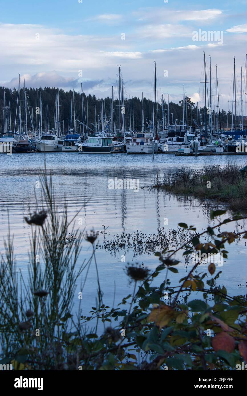 Viele Boote dockten an der Marina im Hafen von Gig an Stockfoto